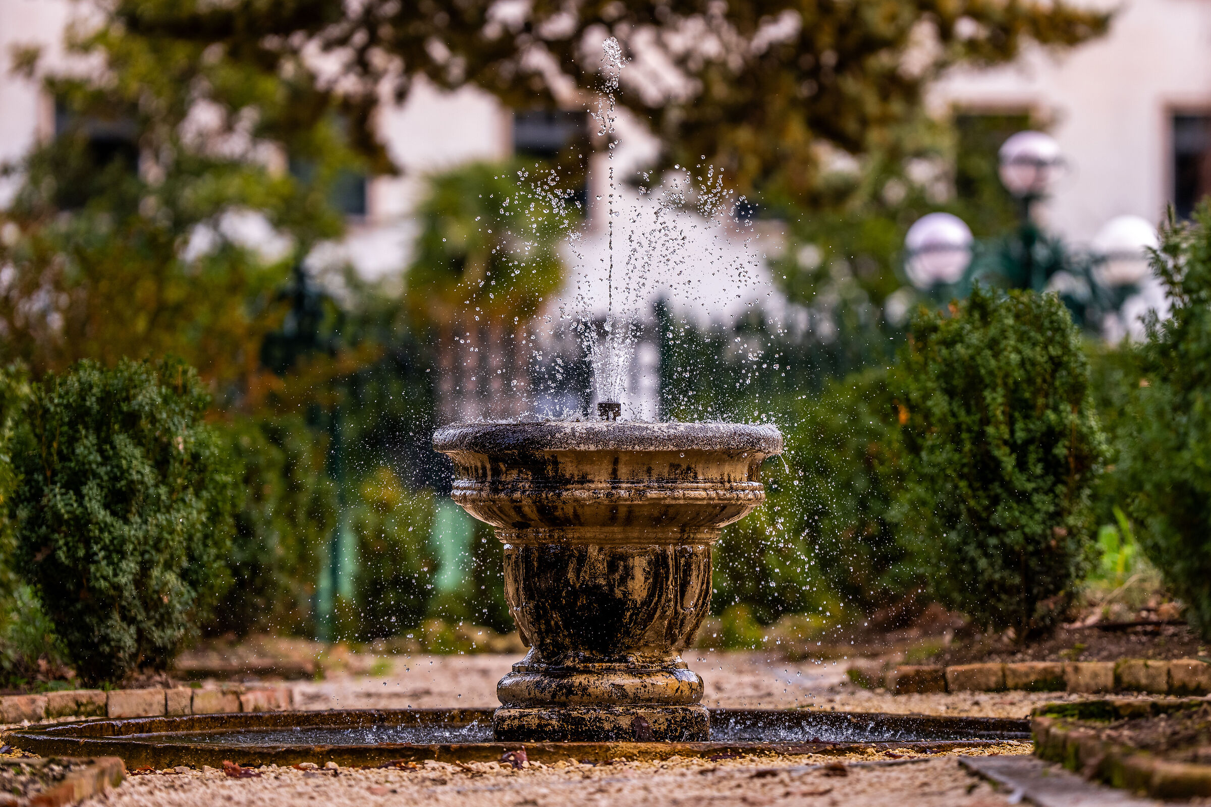 Fountain in the municipal park
