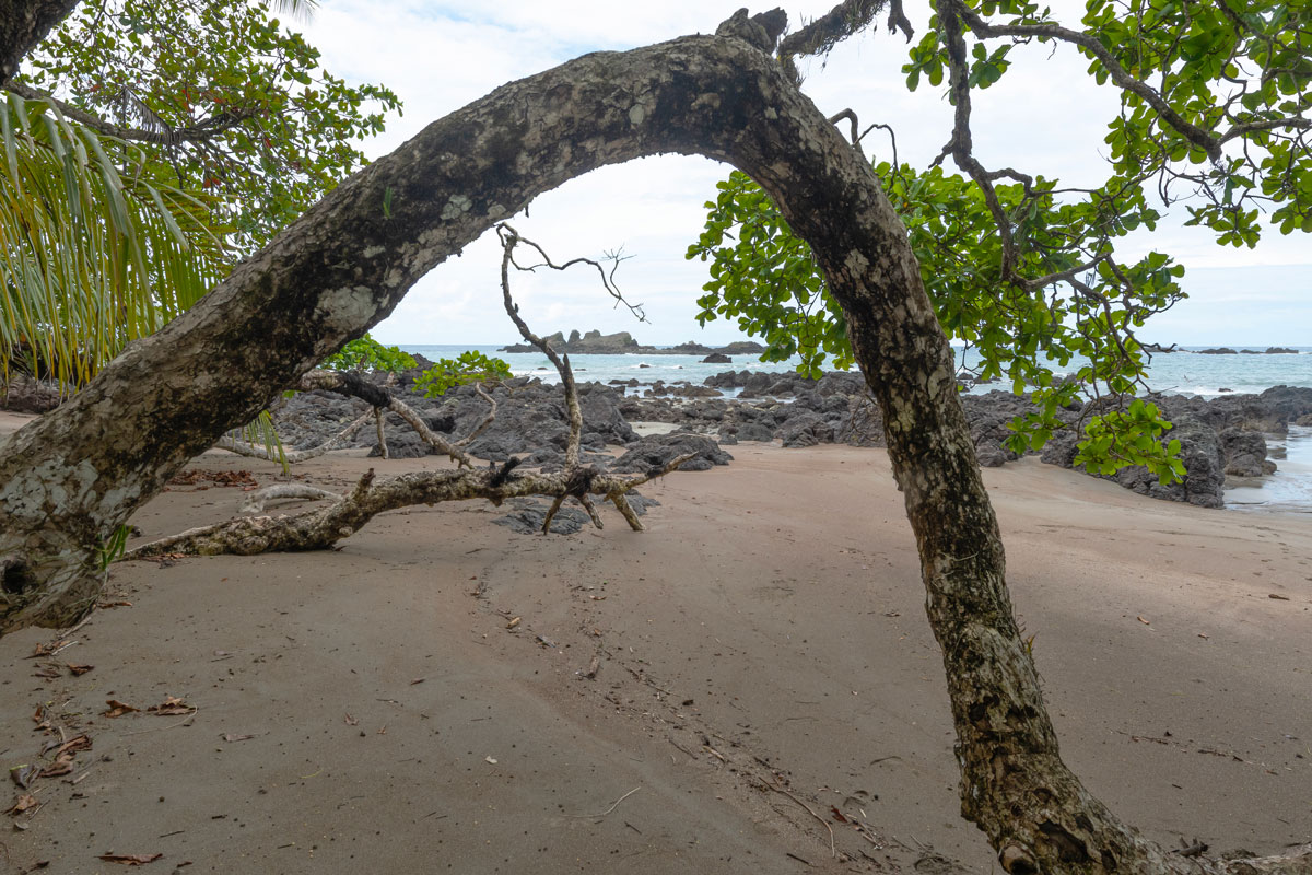 Corcovado NP, Costa Rica