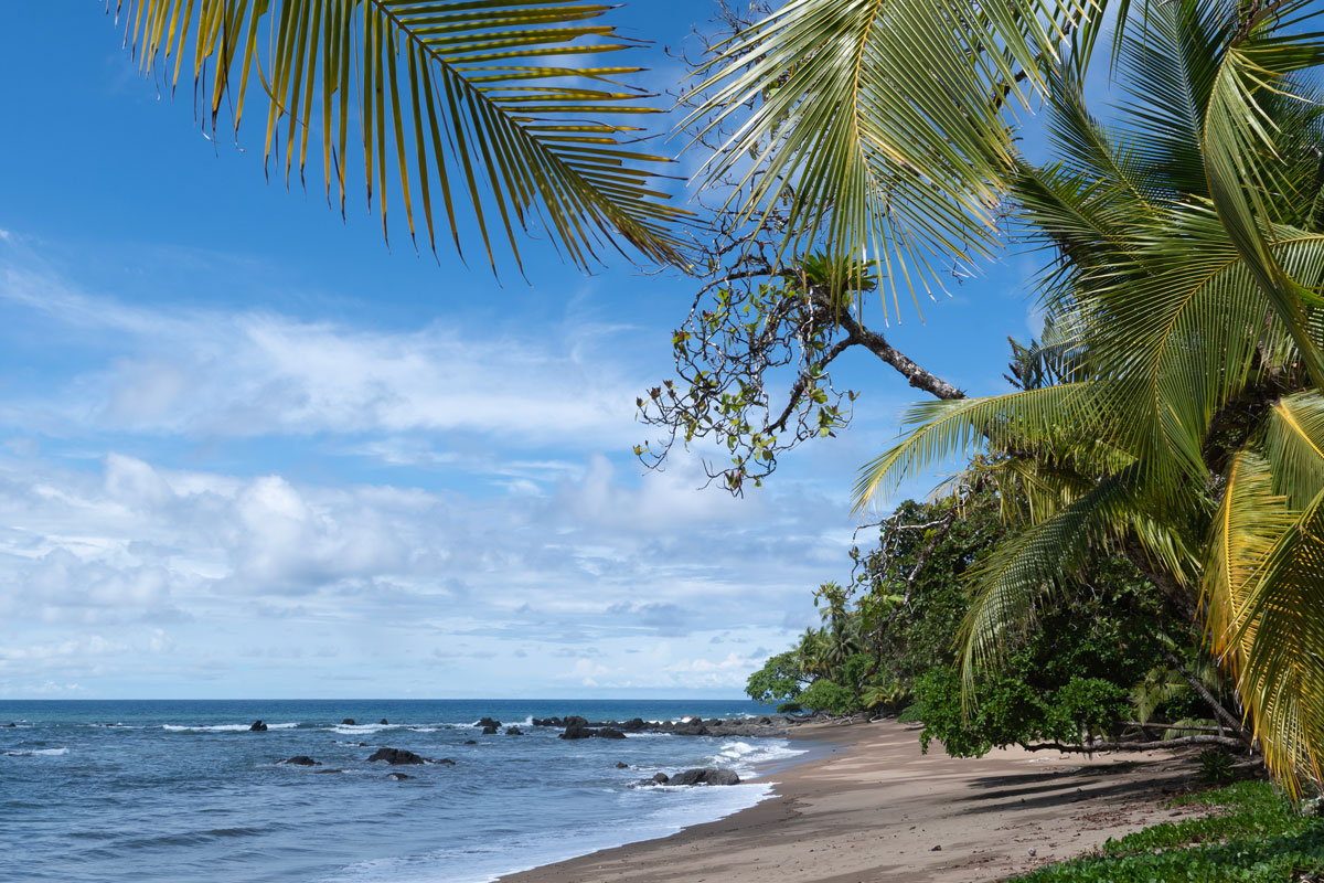 Corcovado NP, Costa Rica