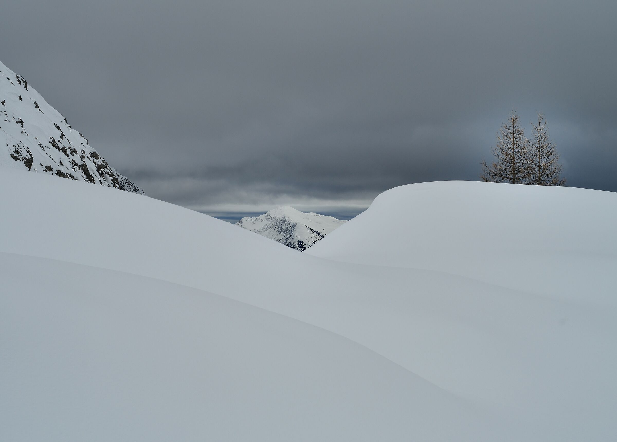 composition with snow ...