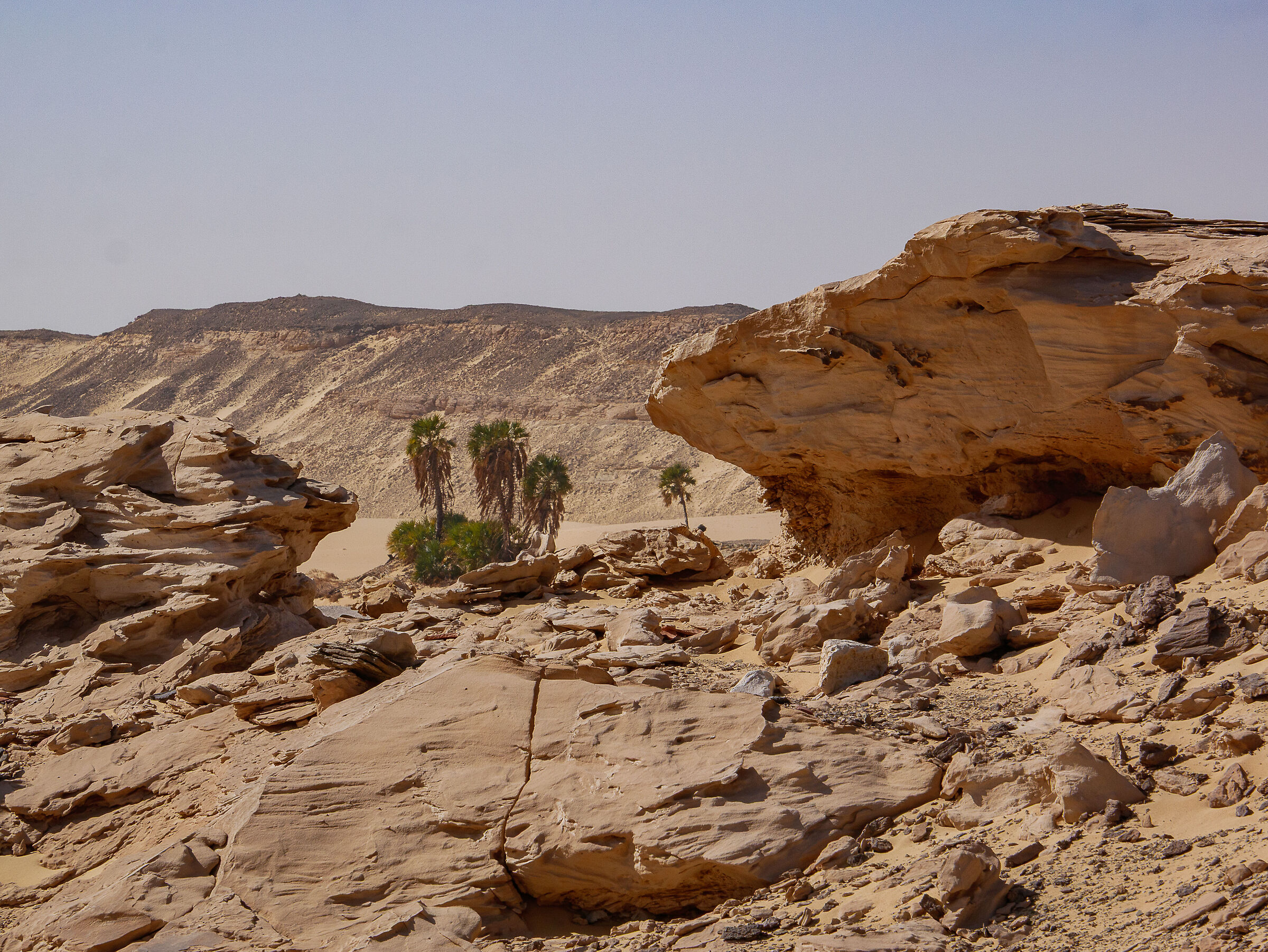 La terra di Ayn El-Labakha