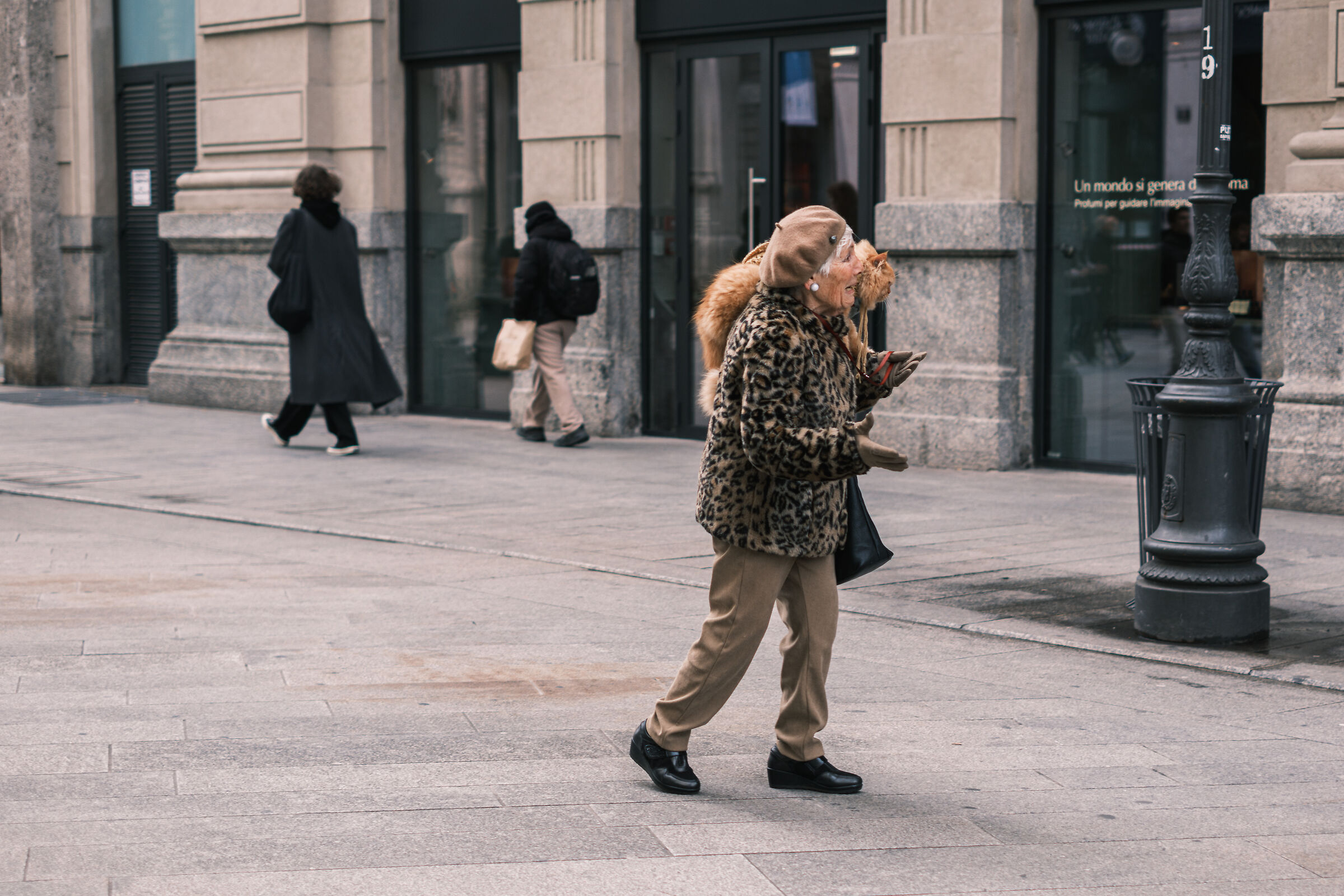 A spasso con il gatto