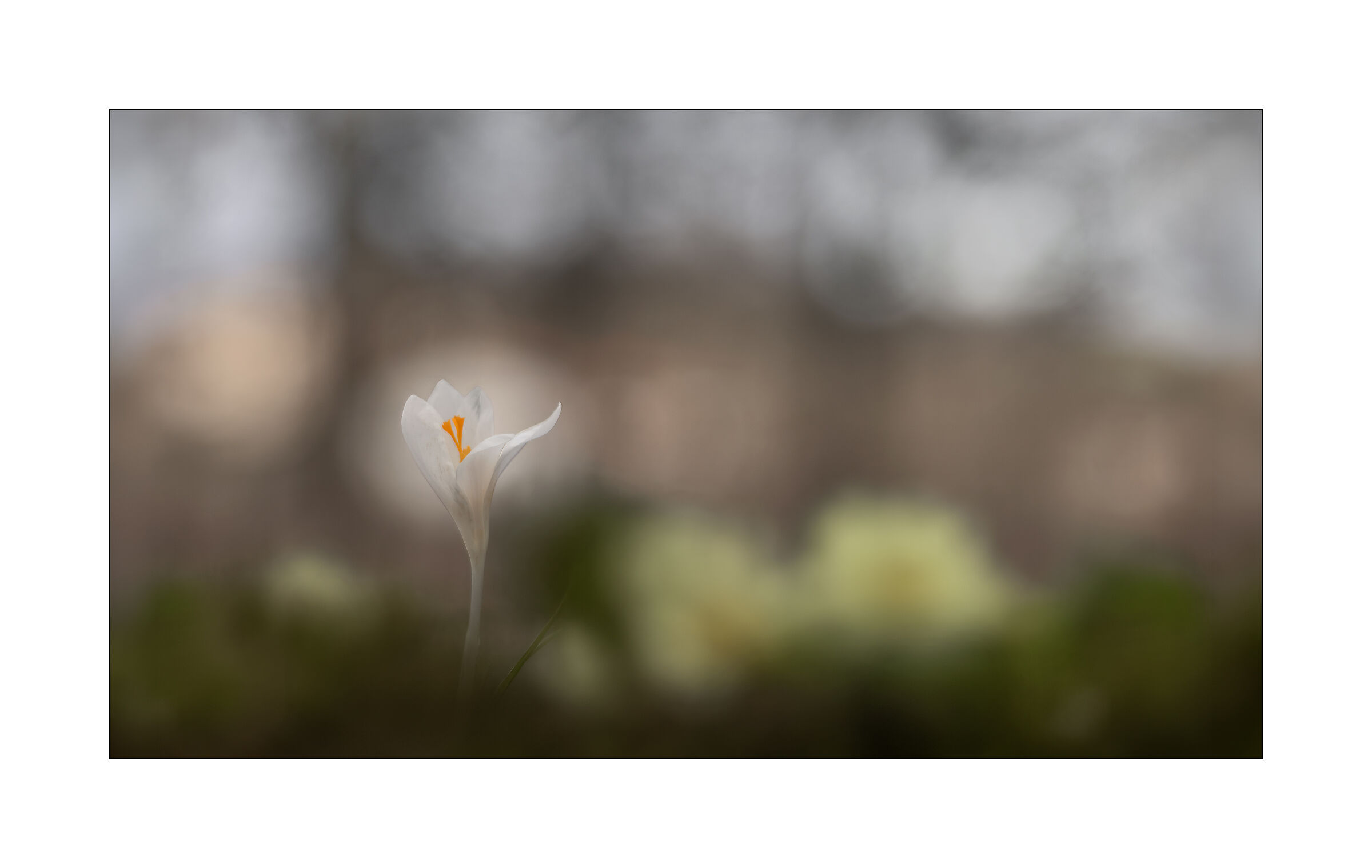 soft beginning of spring
