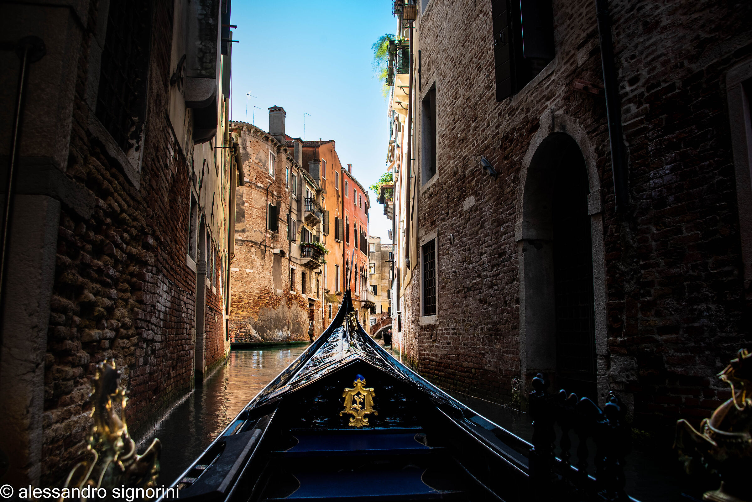 Gondolas in Venice
