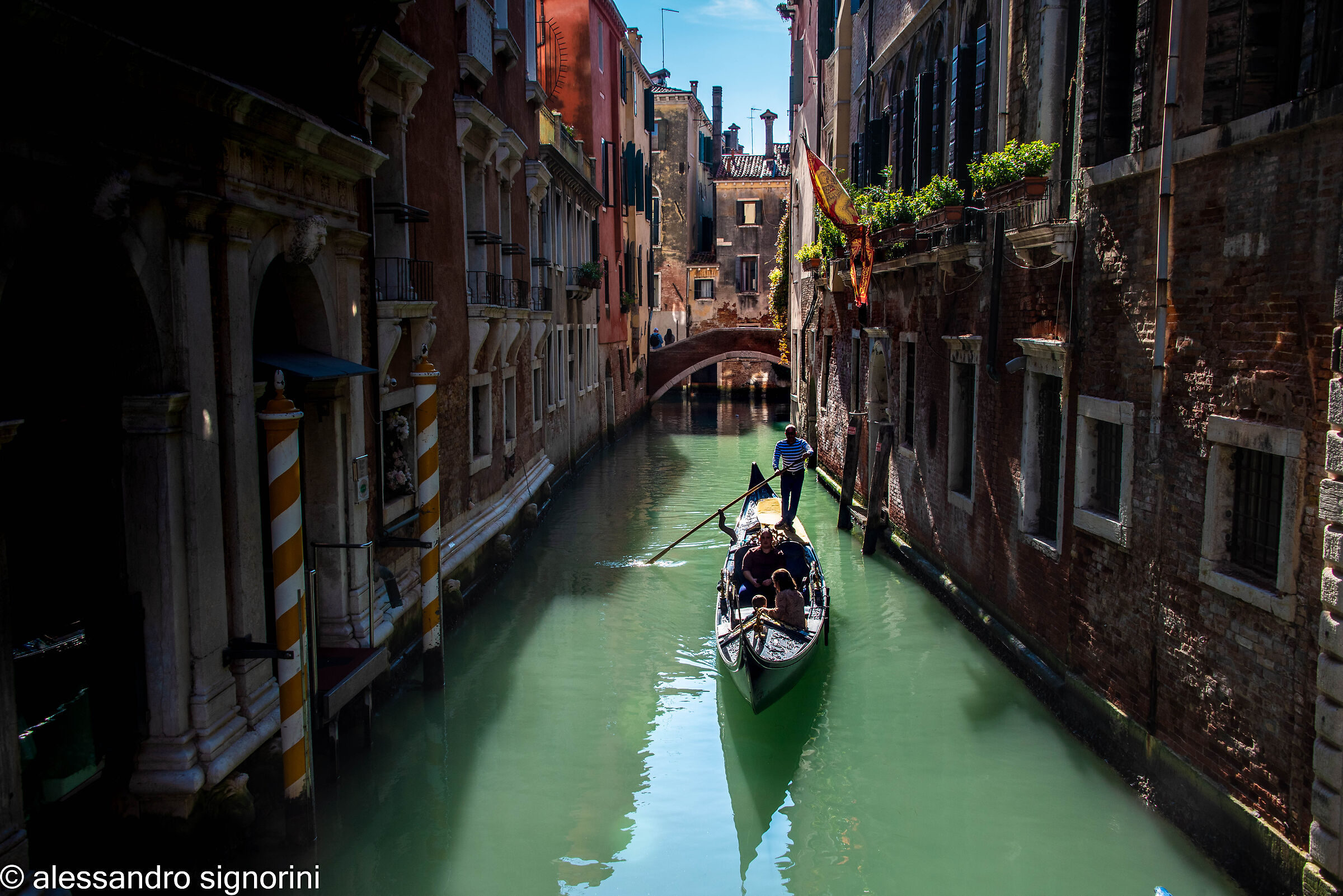 Gondolas in Venice