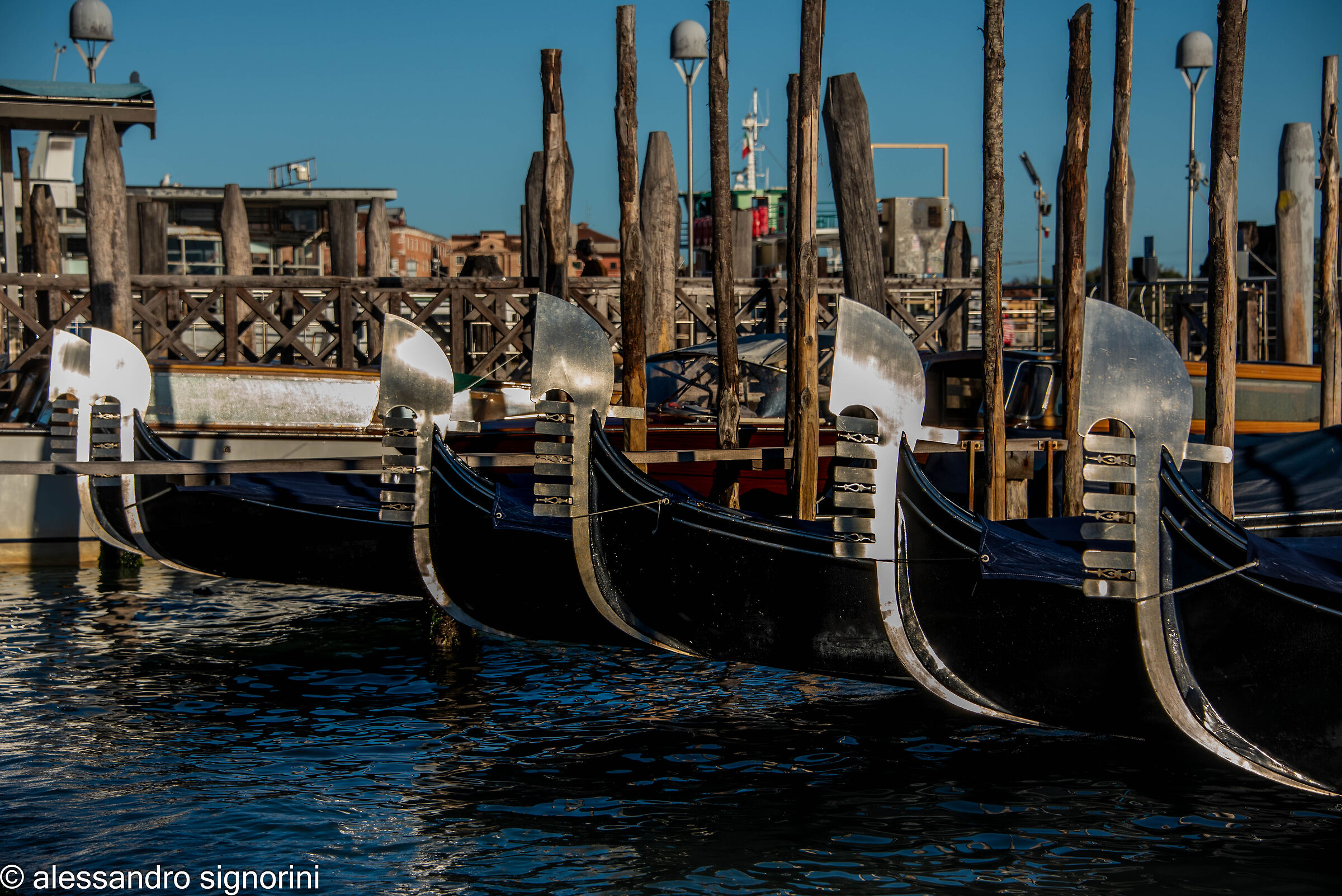 Gondolas in Venice