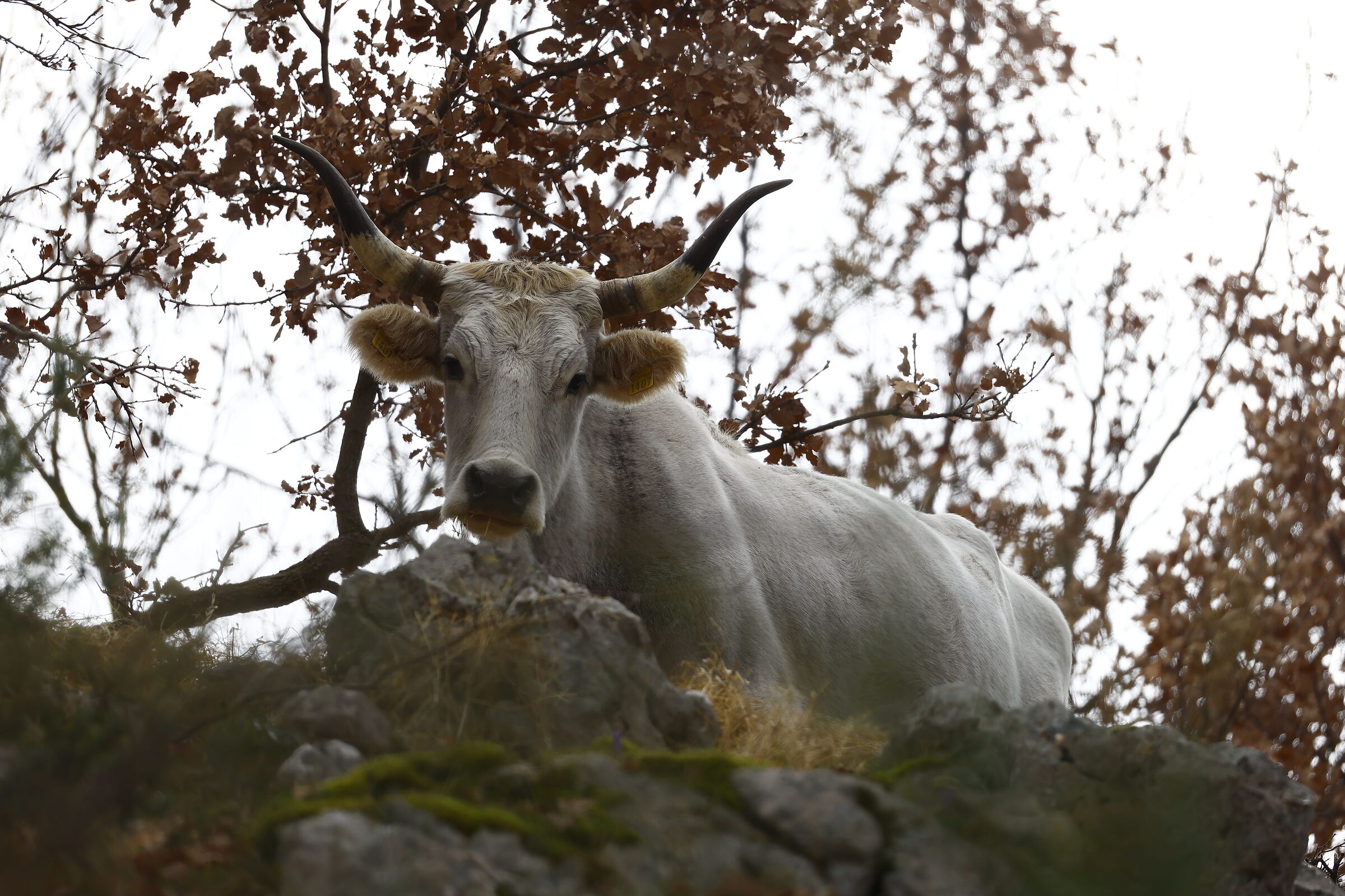 Untitled Photo