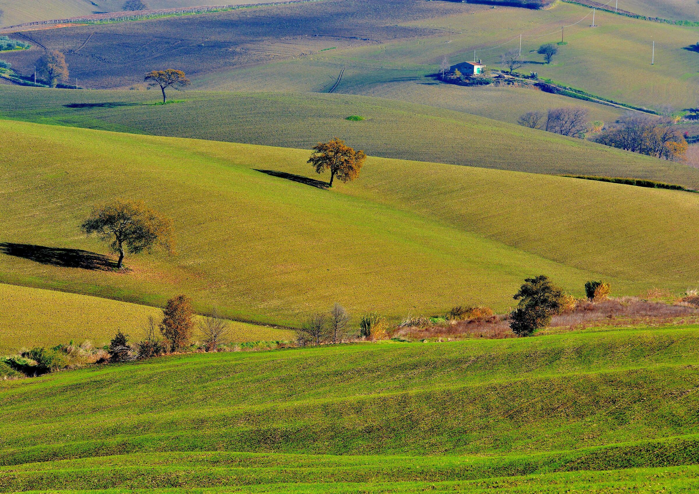 Onde sinuose