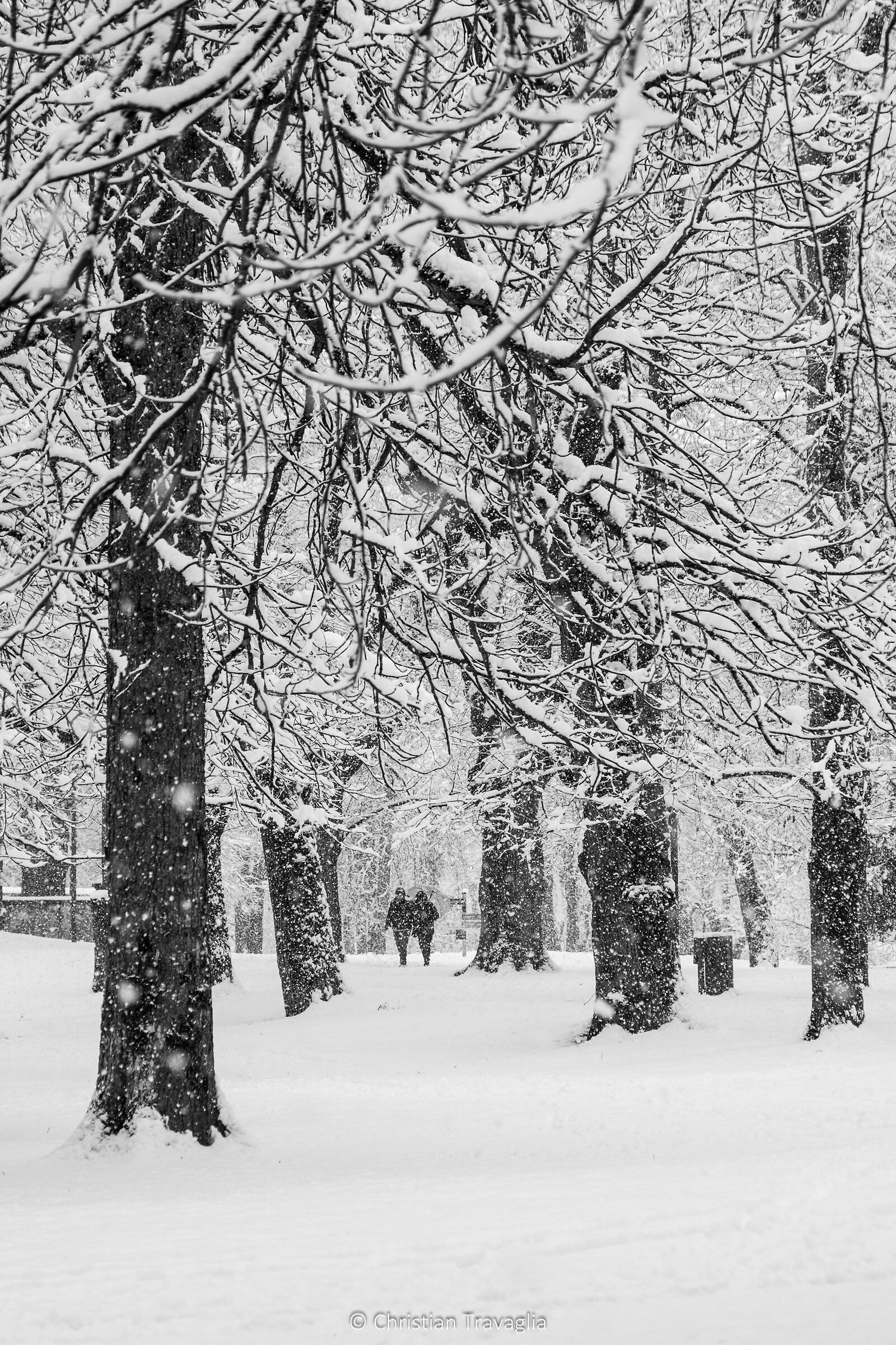 Nevicata nostalgica - Cavalese - Inverno 2025/26