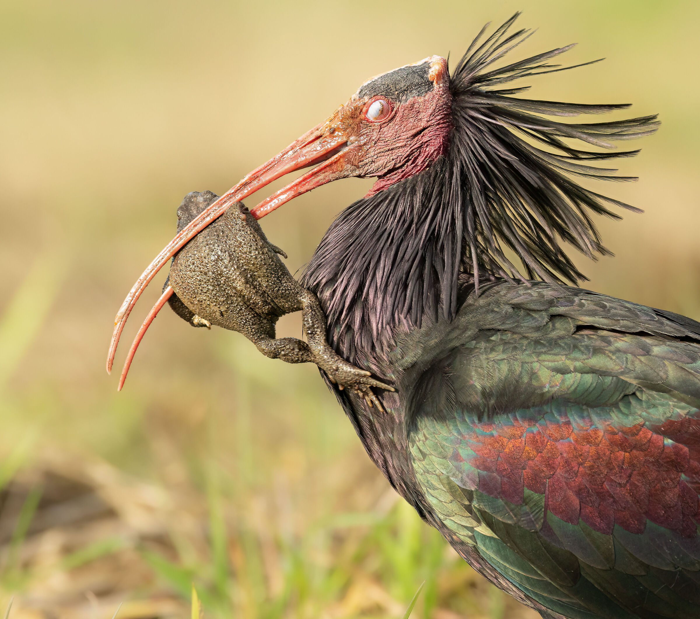 Hunger looks no one in the face