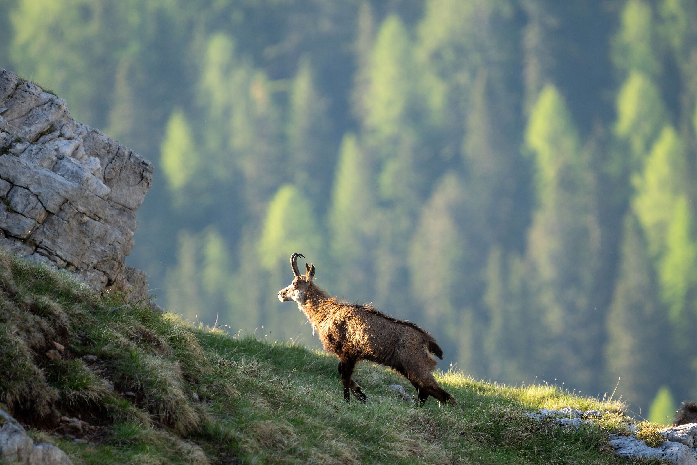 The mountain that wakes up at dawn