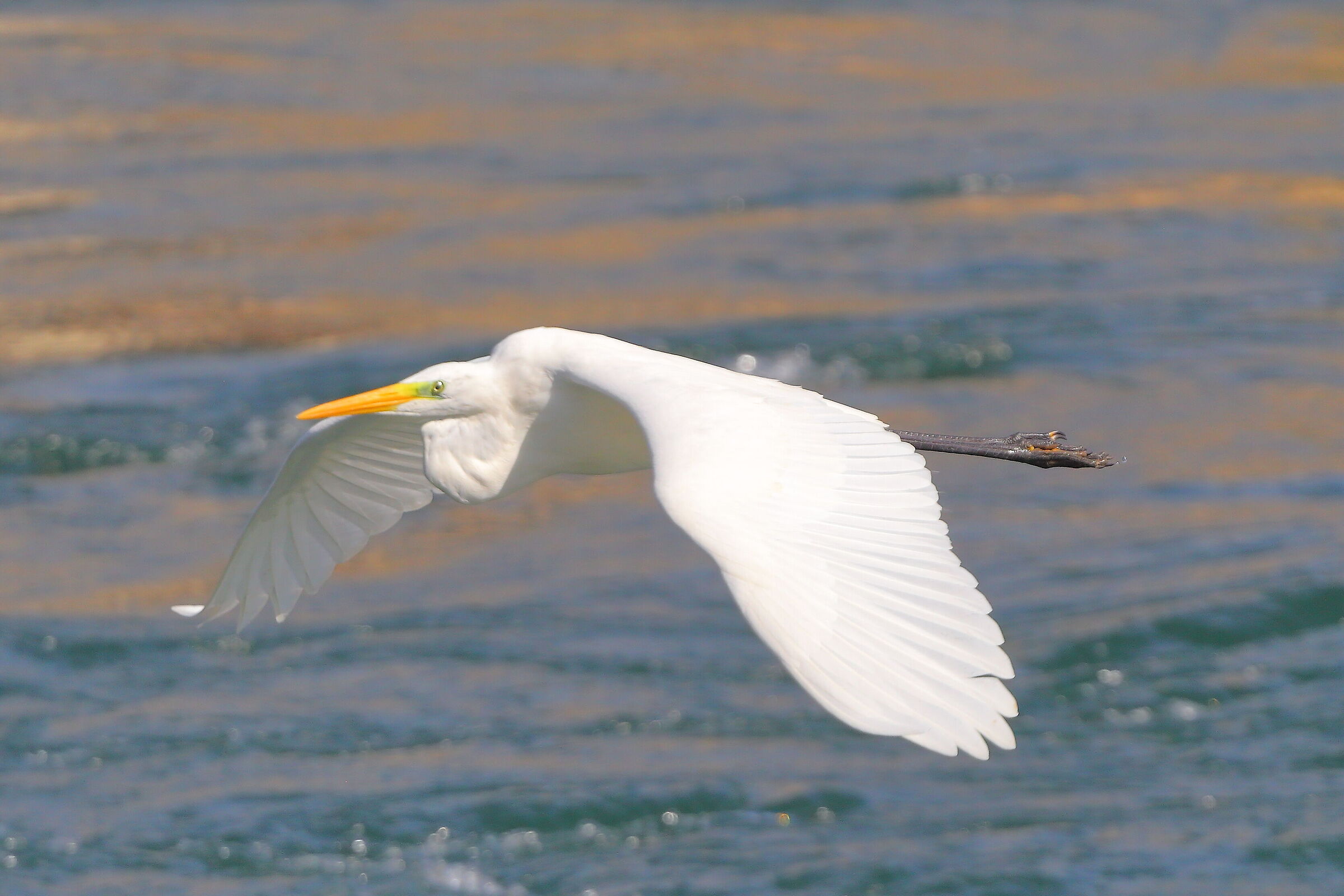 ABM settembre 2025 - 0199