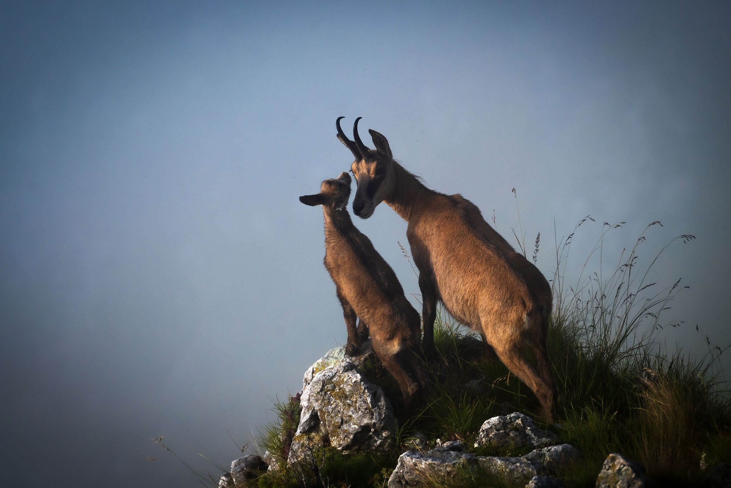 You see, my son, all this will be yours one day