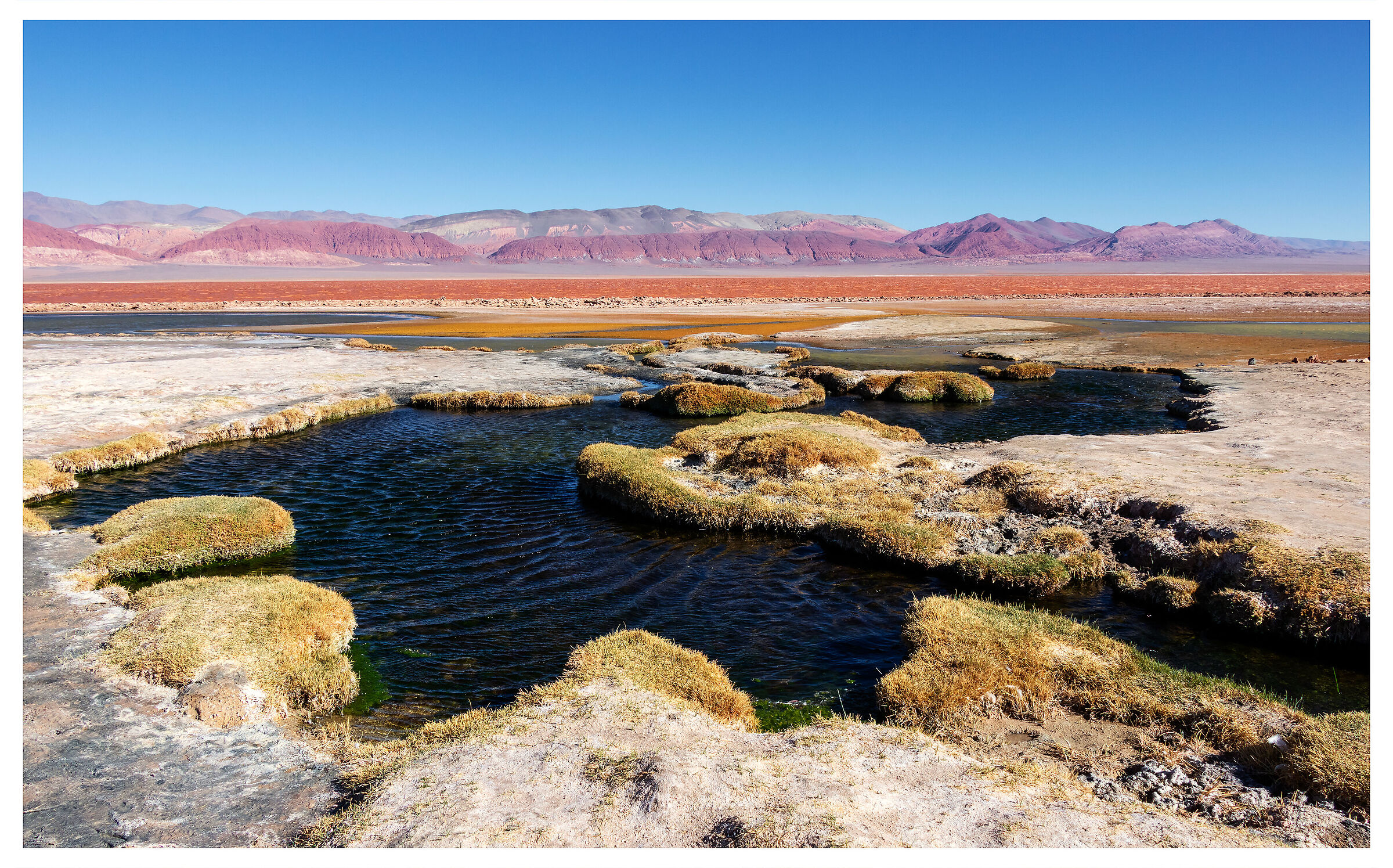 Laguna Carachi Pampa