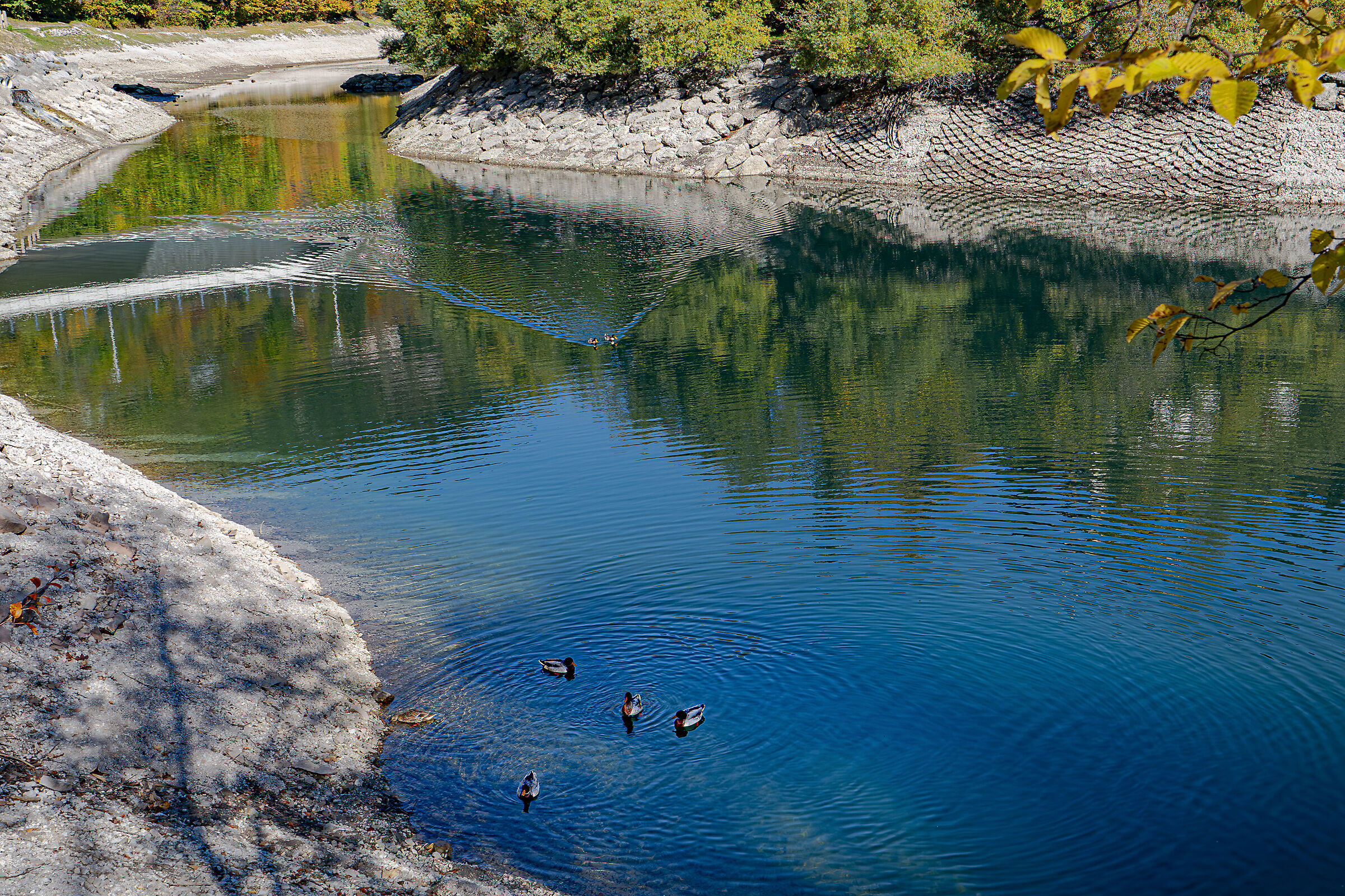 The color of water in Molveno