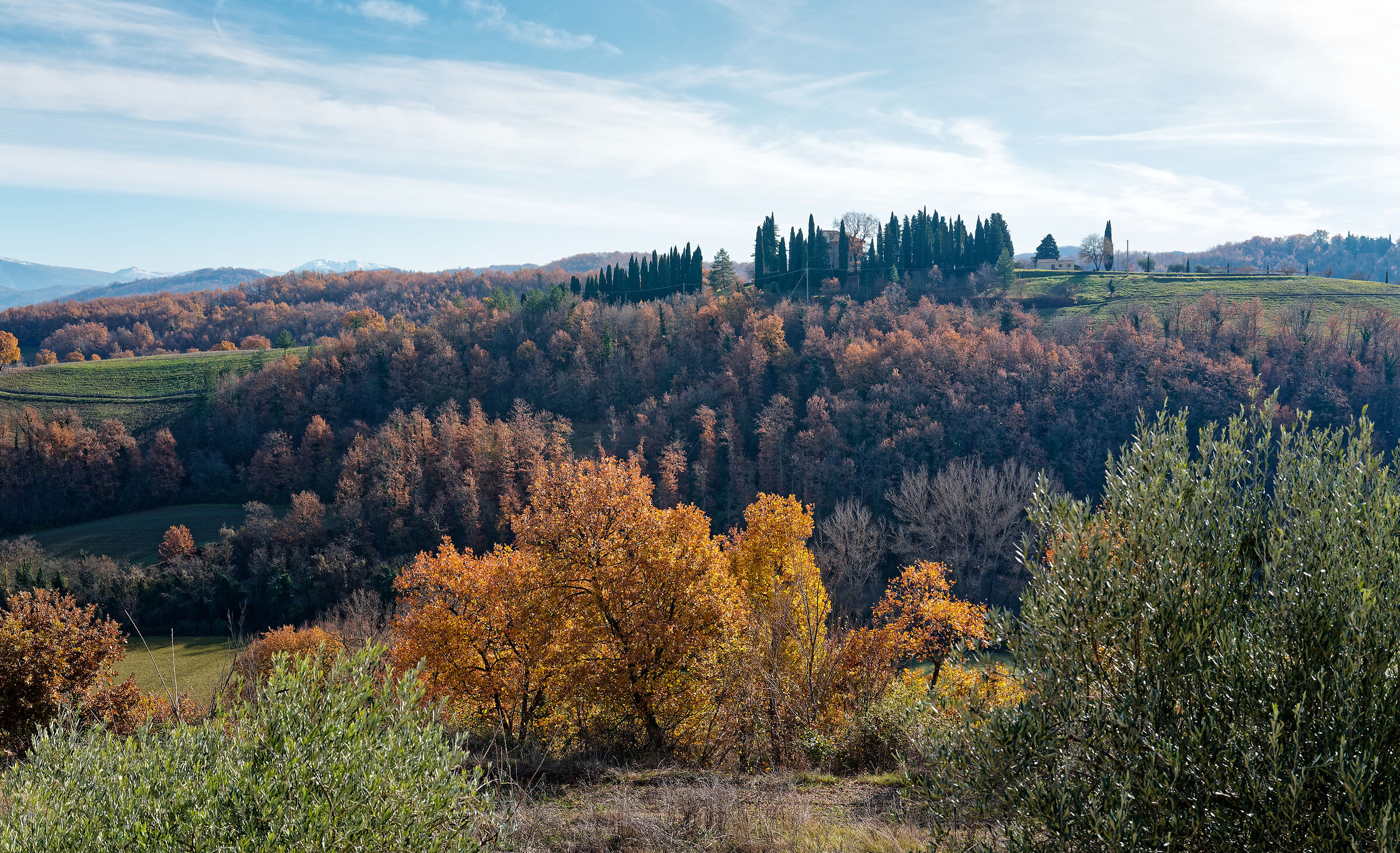 Monteluiano, December 2025