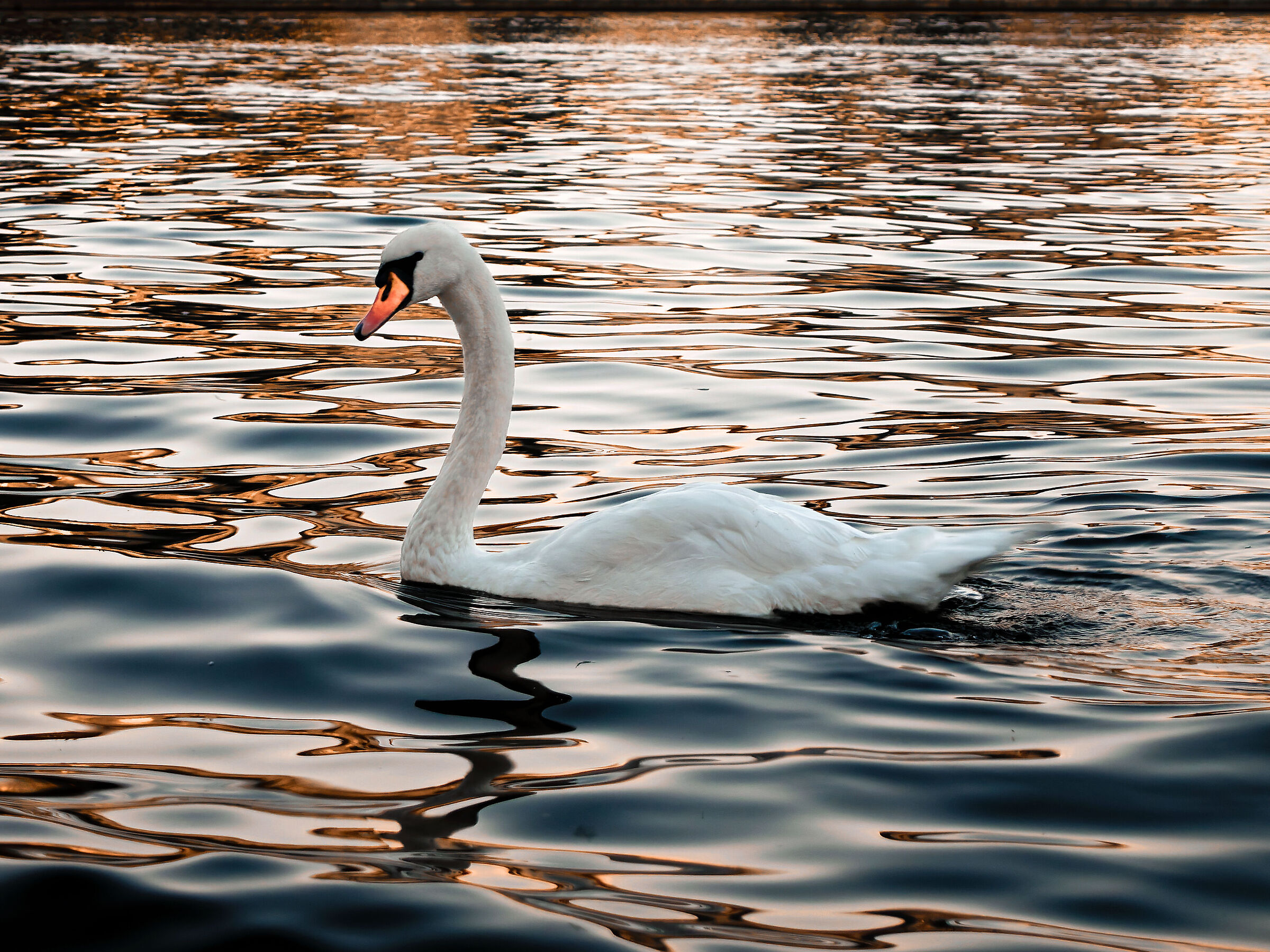 Among the reflections of the Vltava. Prague 2015