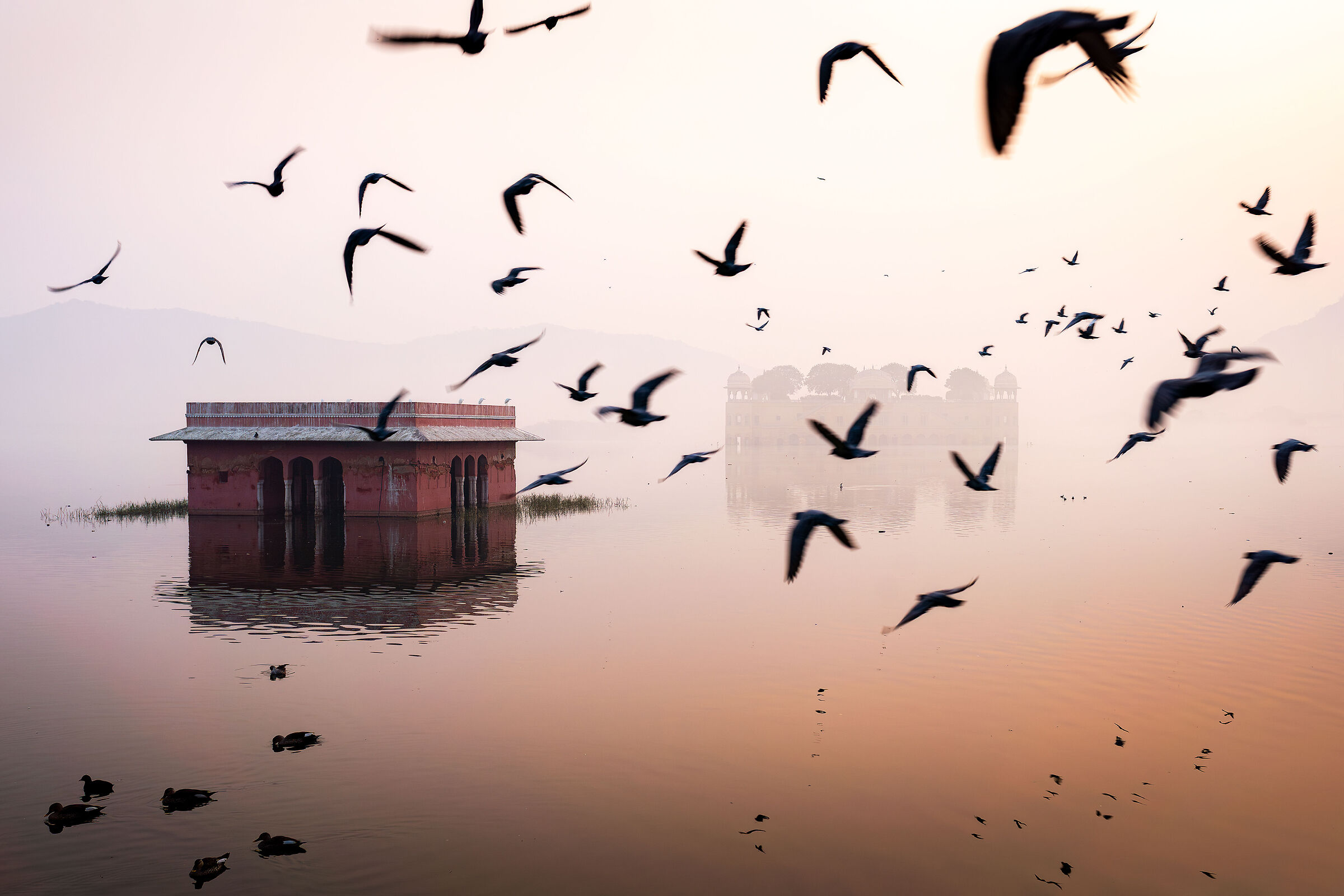 A dream called India