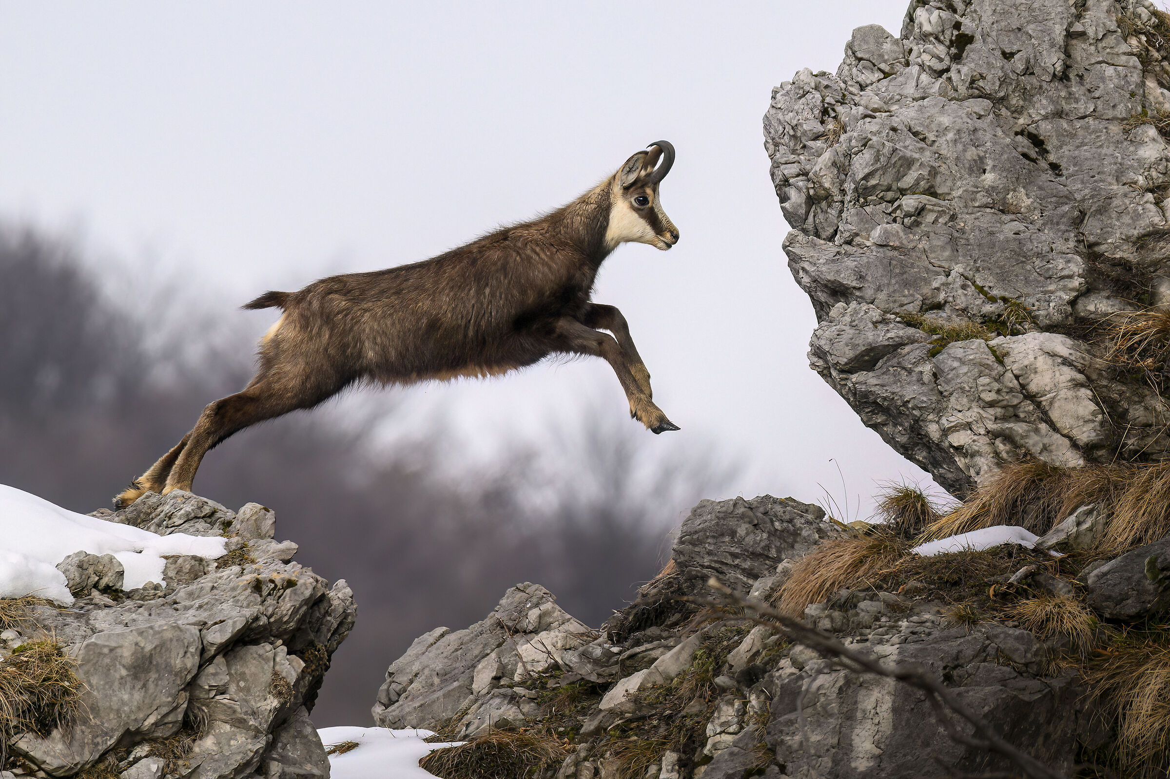 Jump