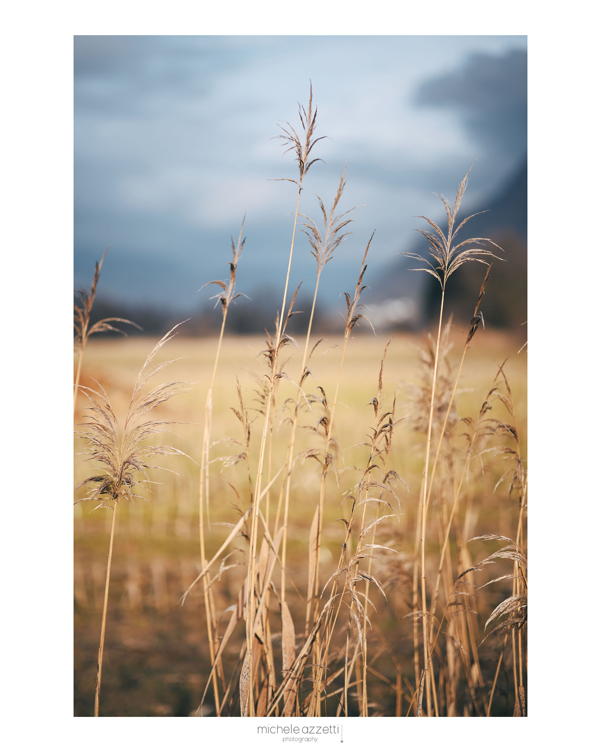 Test Thypoch 75mm 1.4 m mount