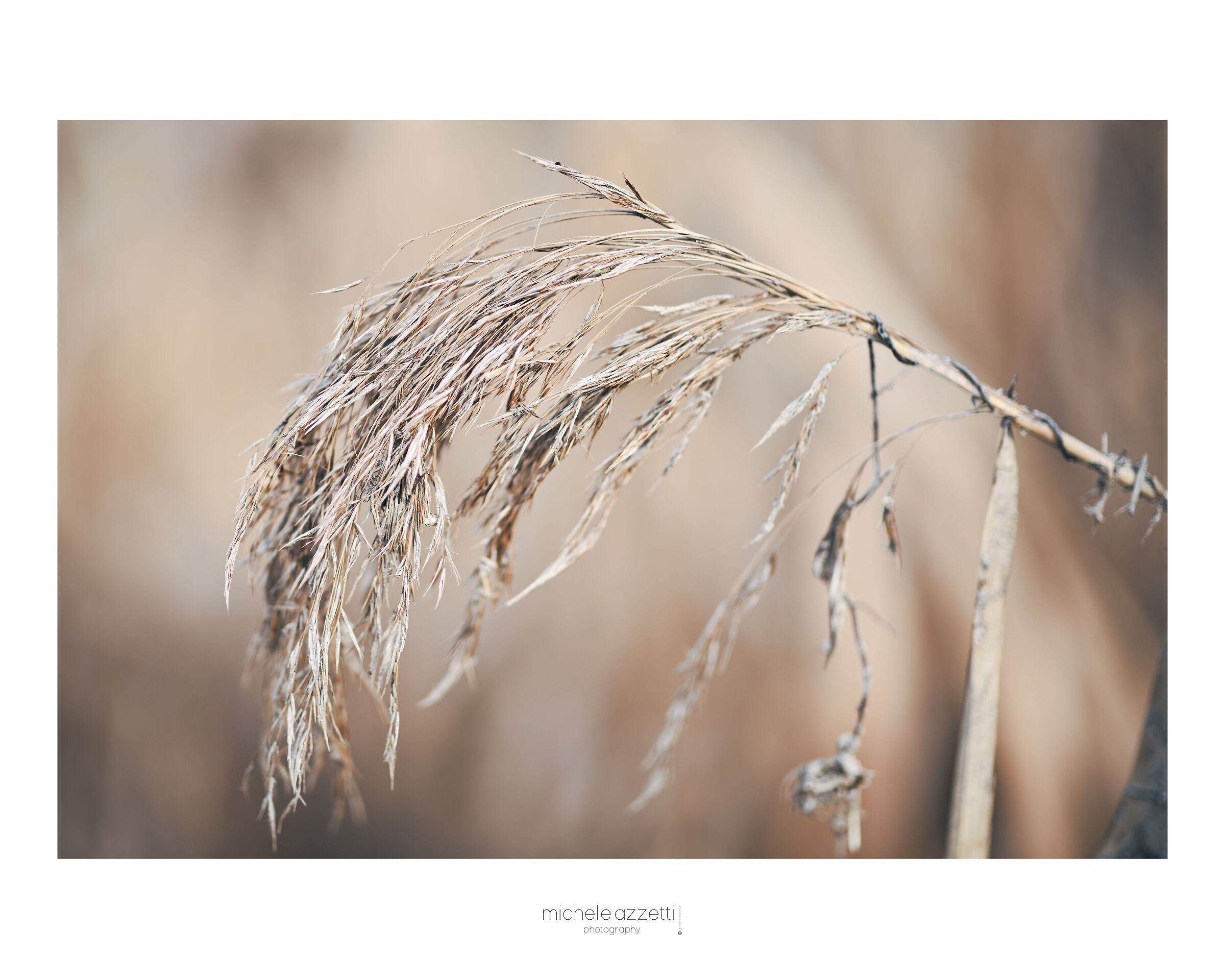Test Thypoch 75mm 1.4 m mount