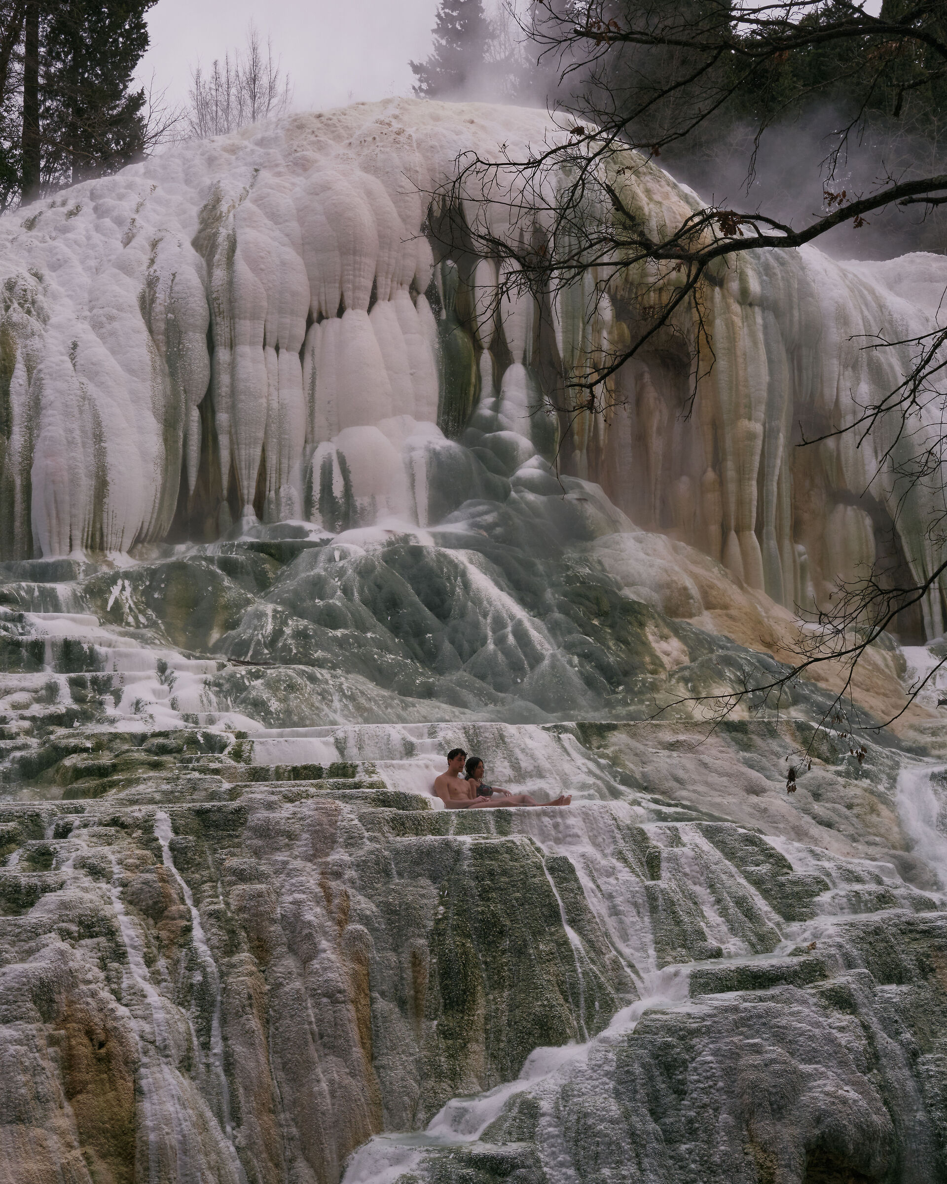 Untitled Photo