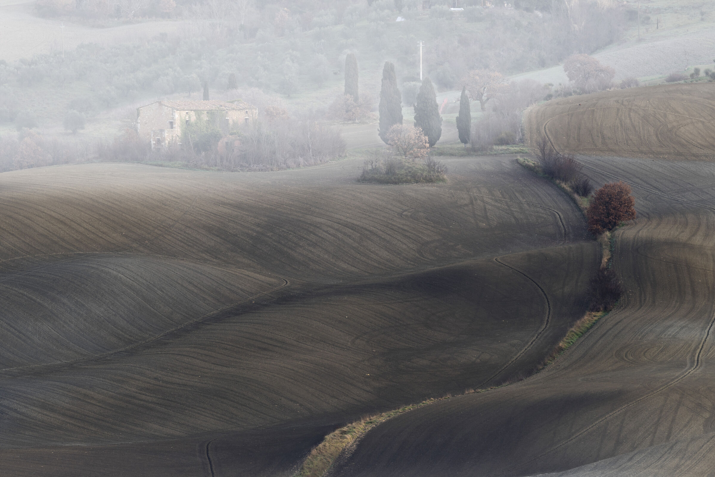 Mists