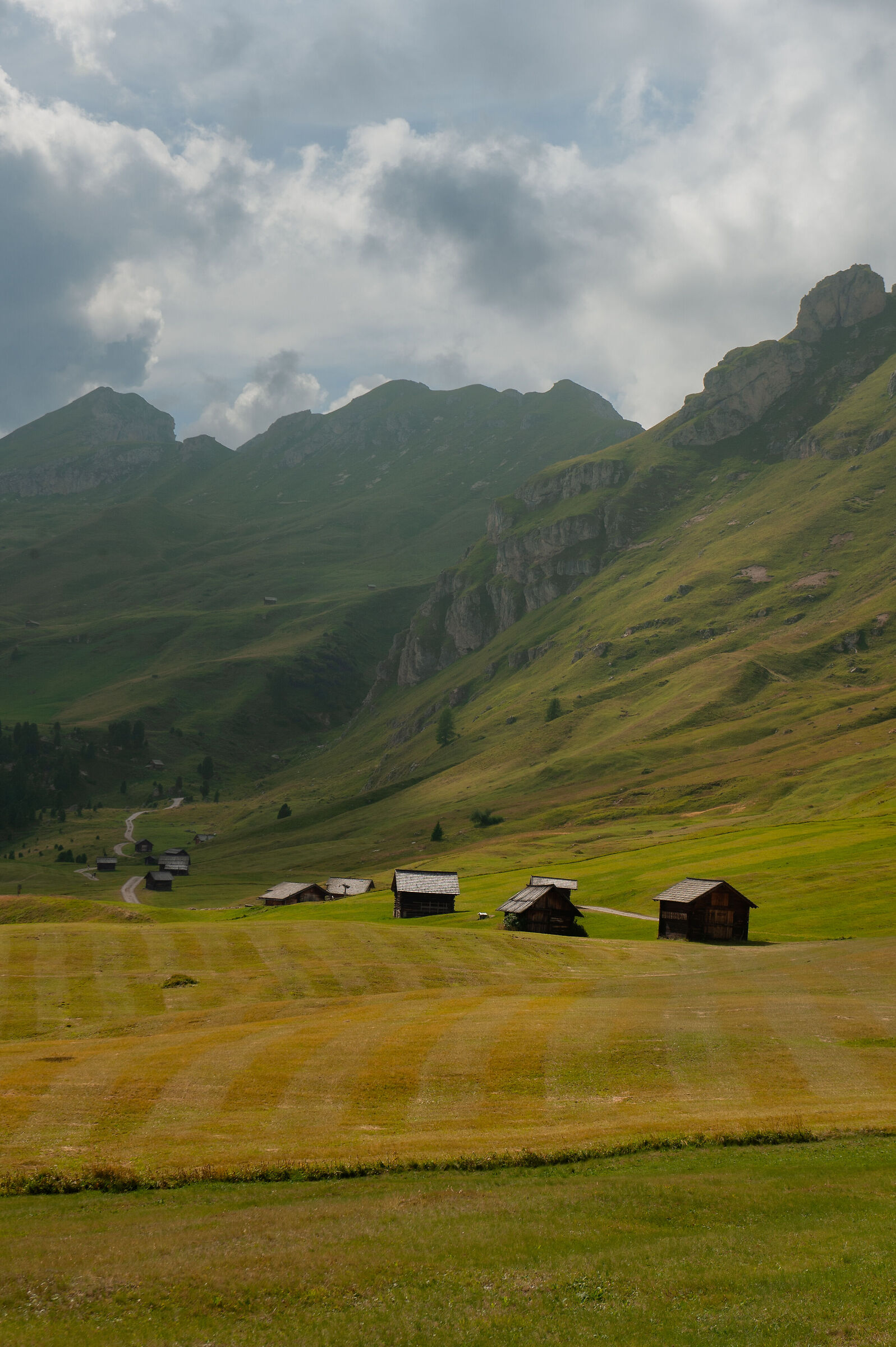 Dolomiti