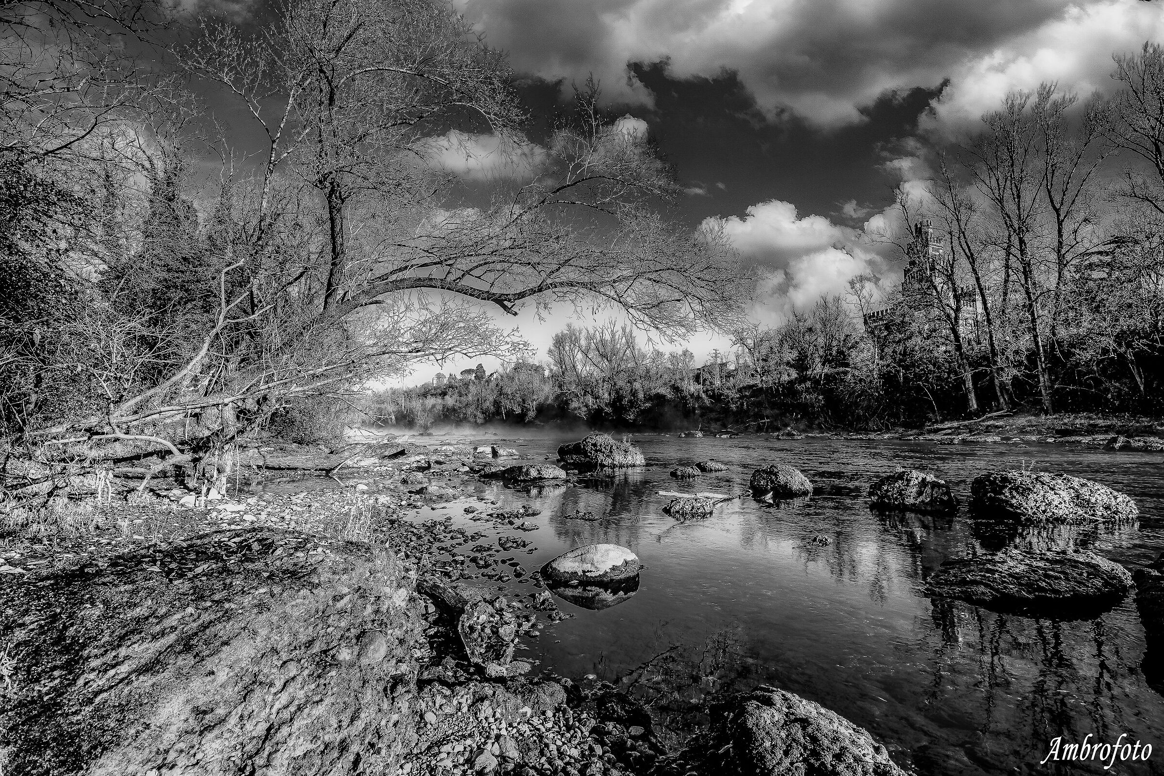Adda B&W