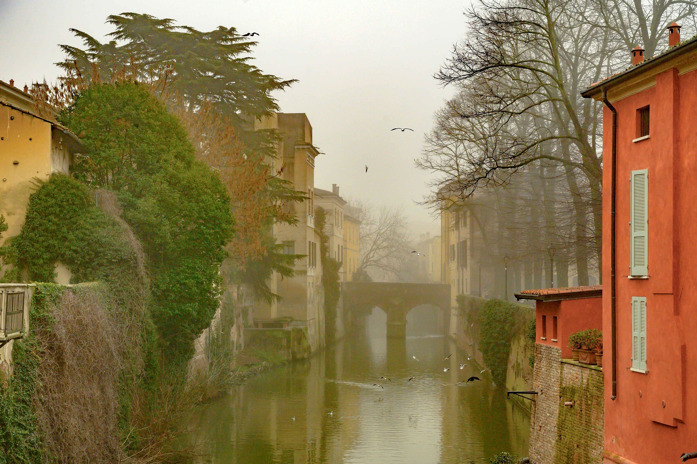 Mantova il canale