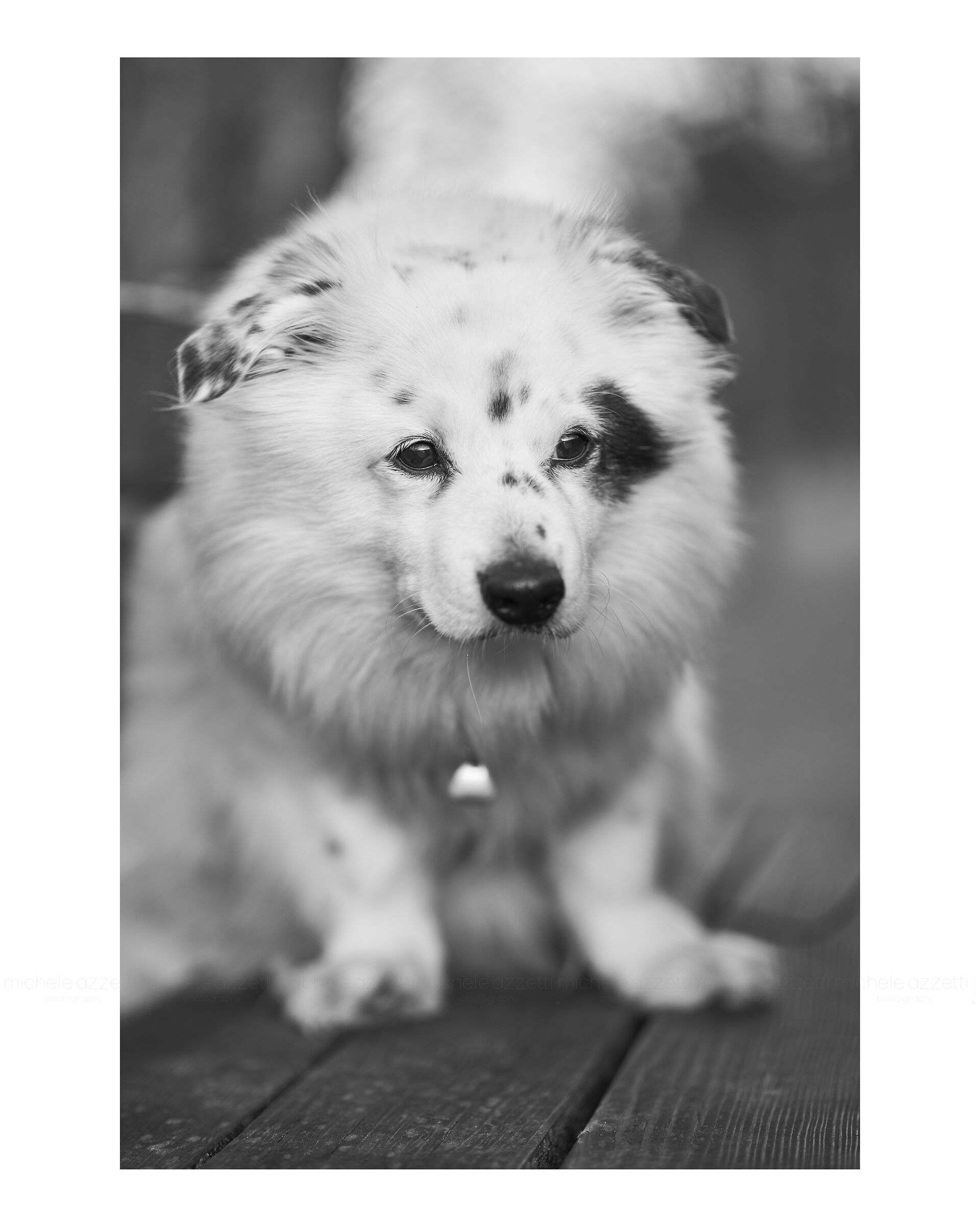 Test Thypoch 75mm 1.4 m mount