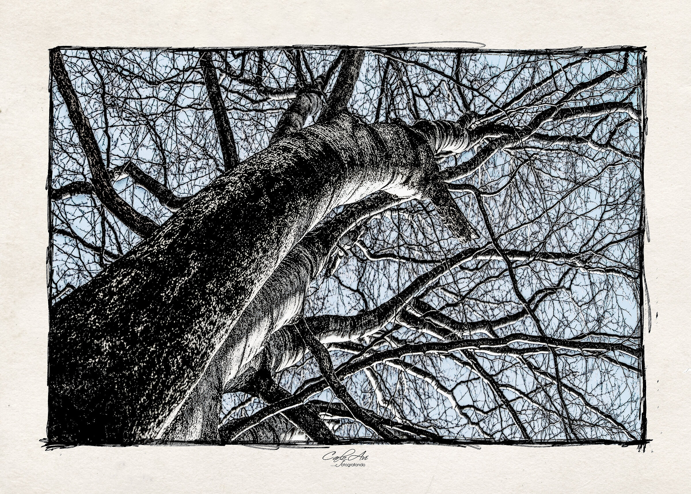 Hands outstretched towards the sky