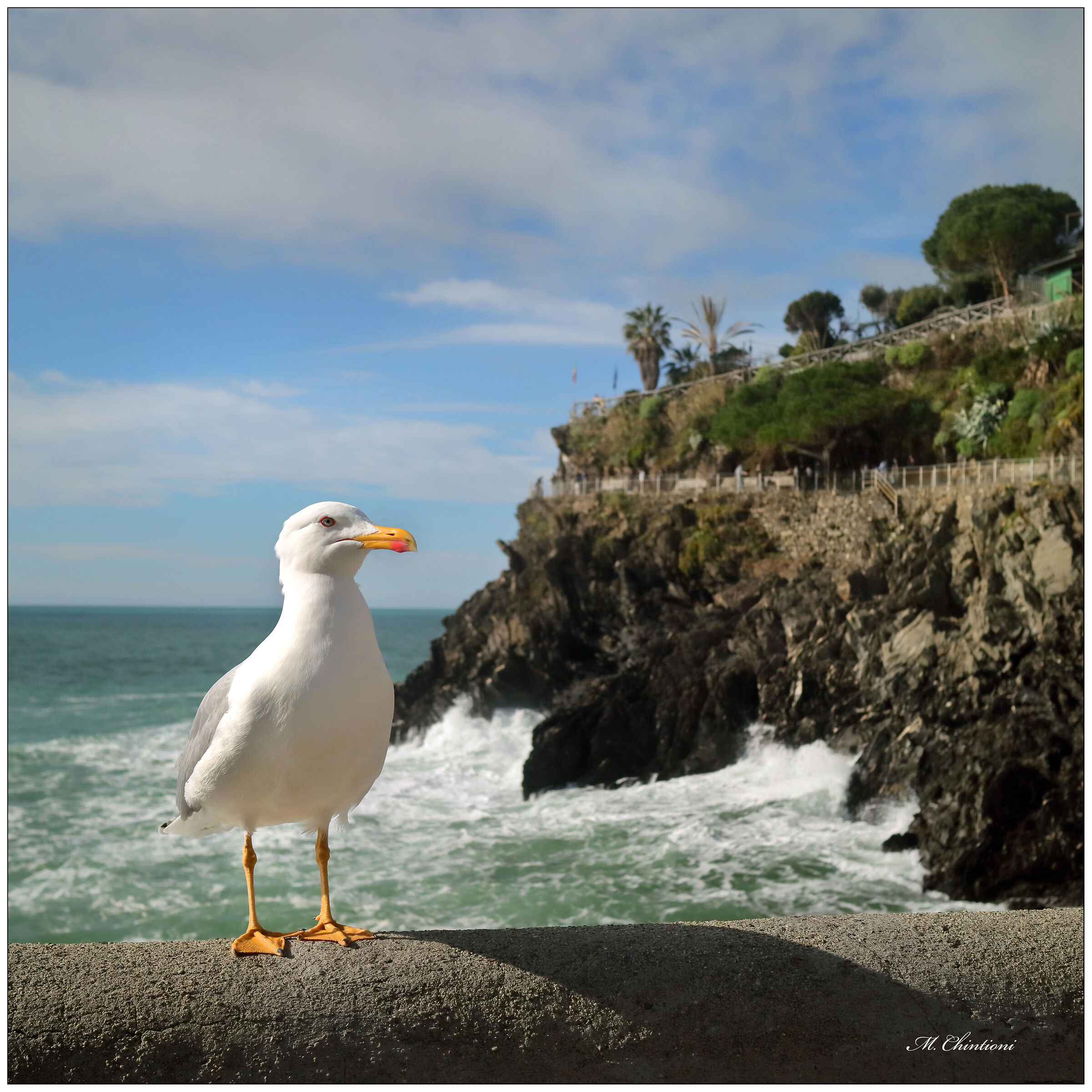 .. the Guardian of Manarola