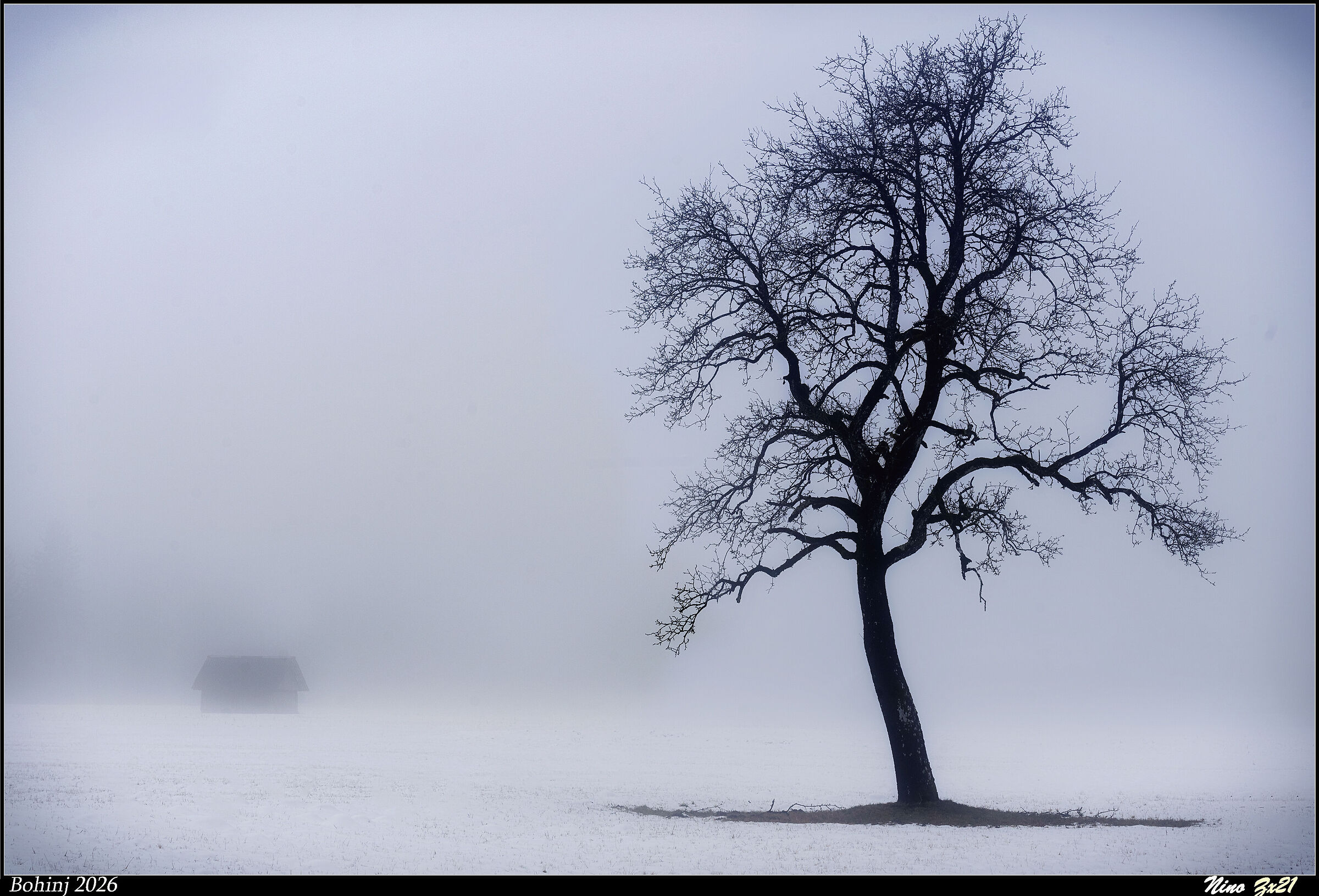 A foggy day