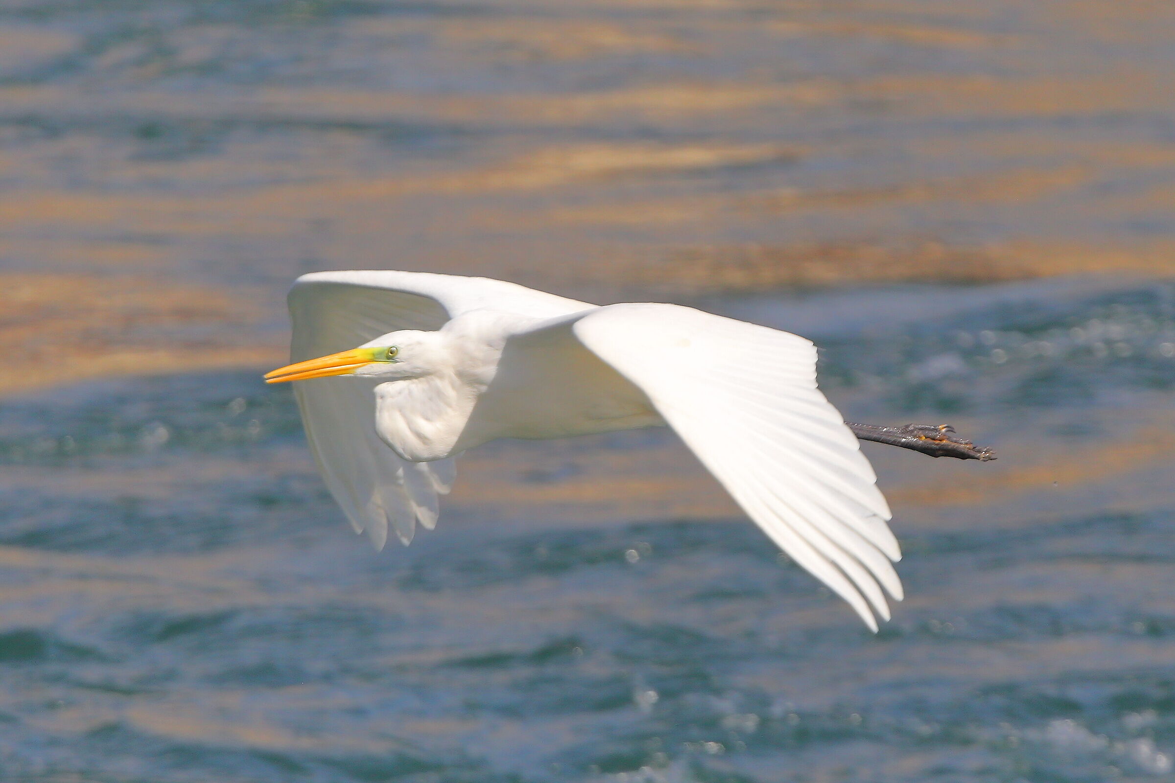 ABM settembre 2025 - 0200