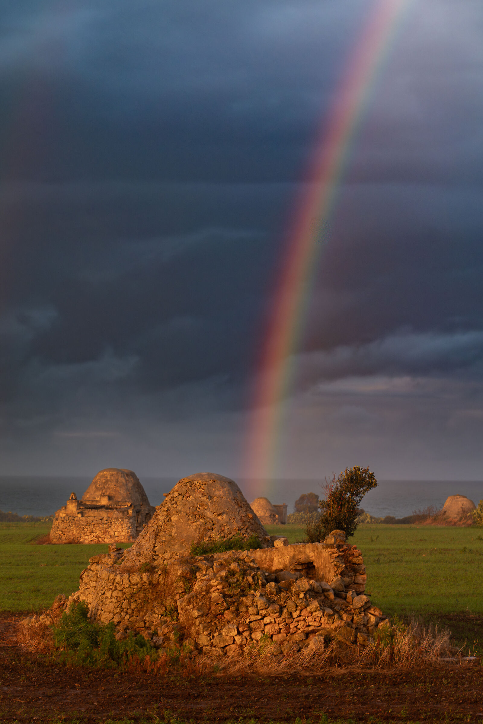 Trulli in the rain 2
