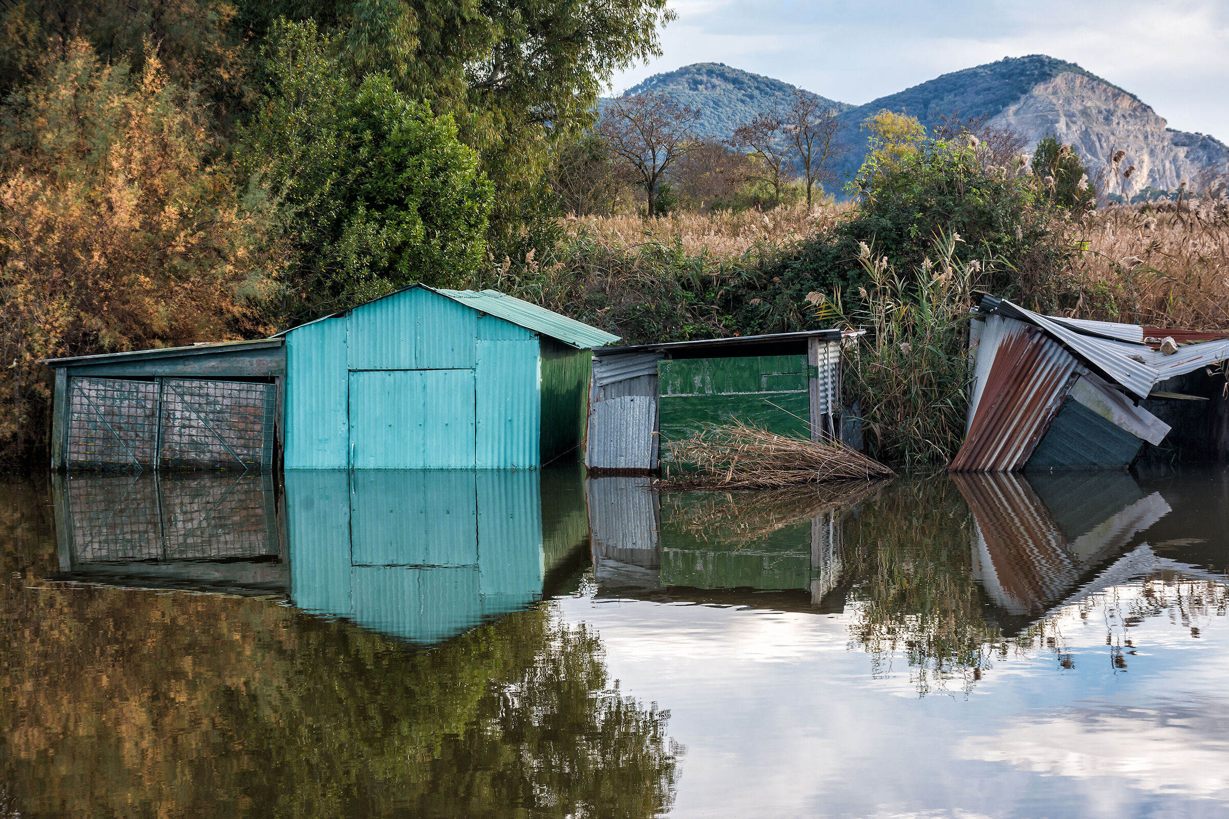 Abandonment in Massarosa