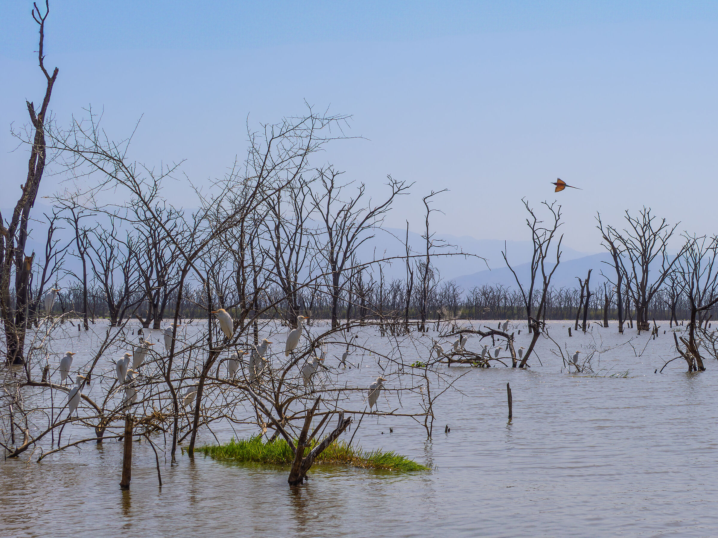 in attesa del pranzo!