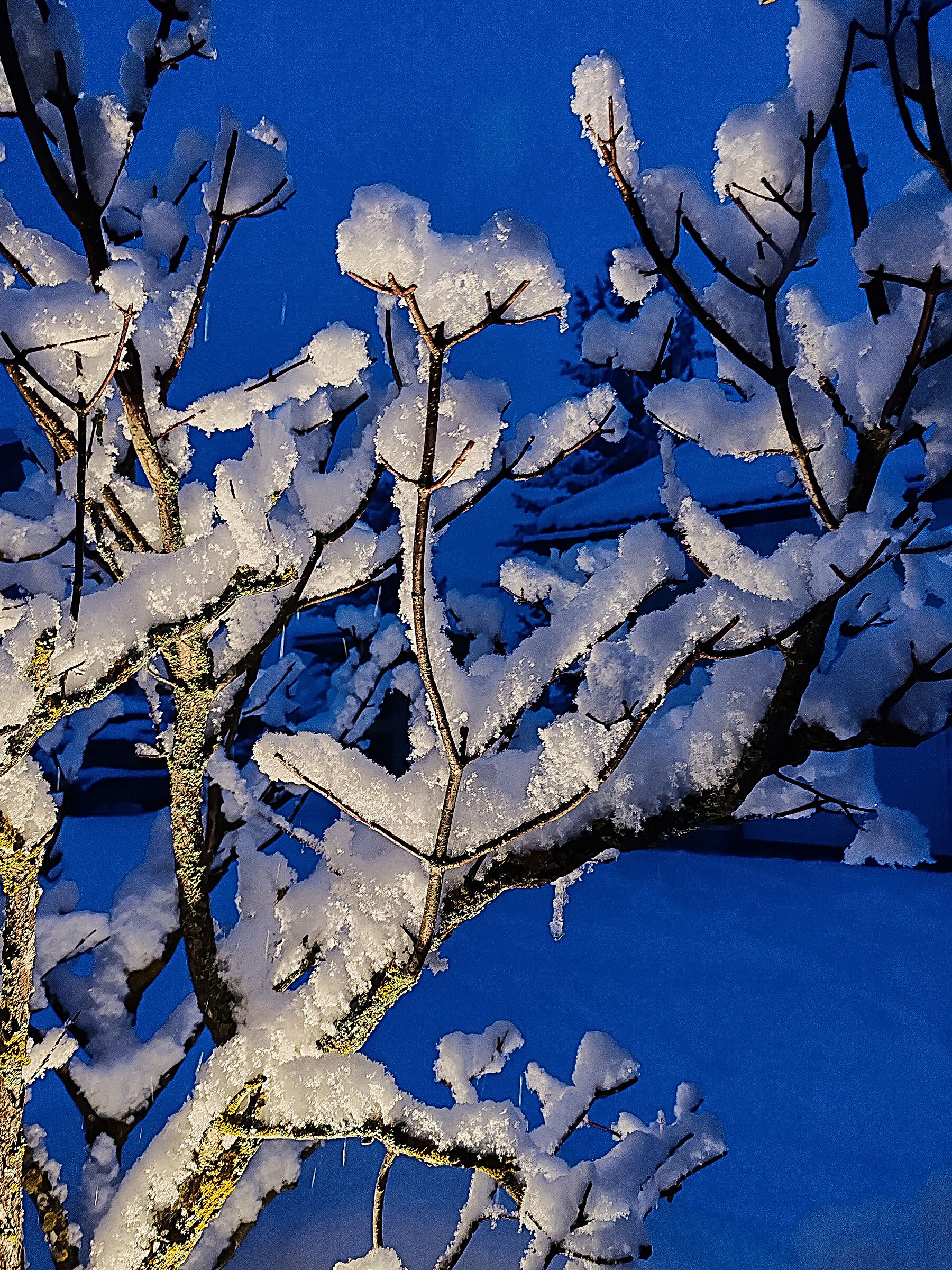 Da sotto in su... 9...