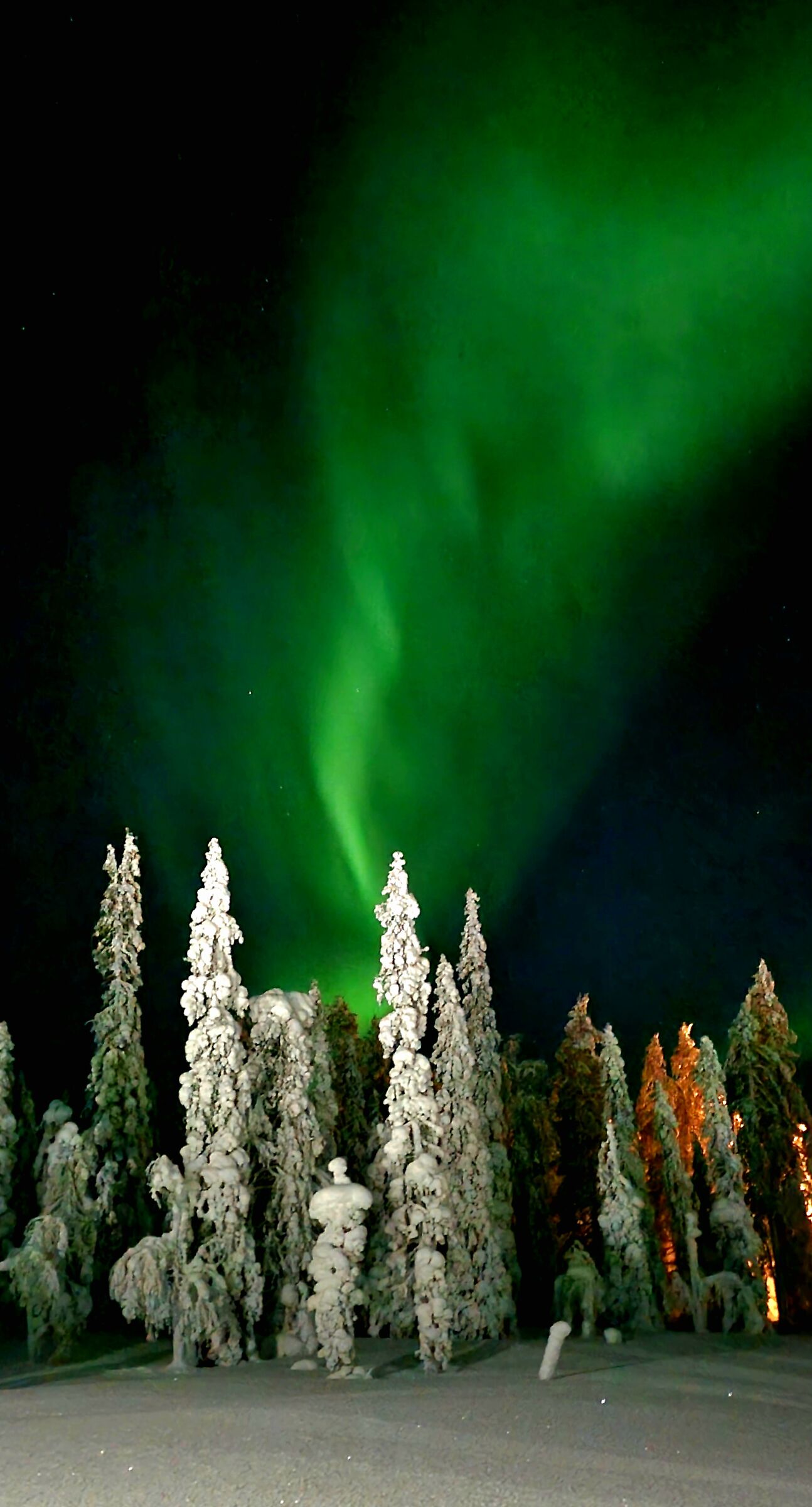 Aurora1
