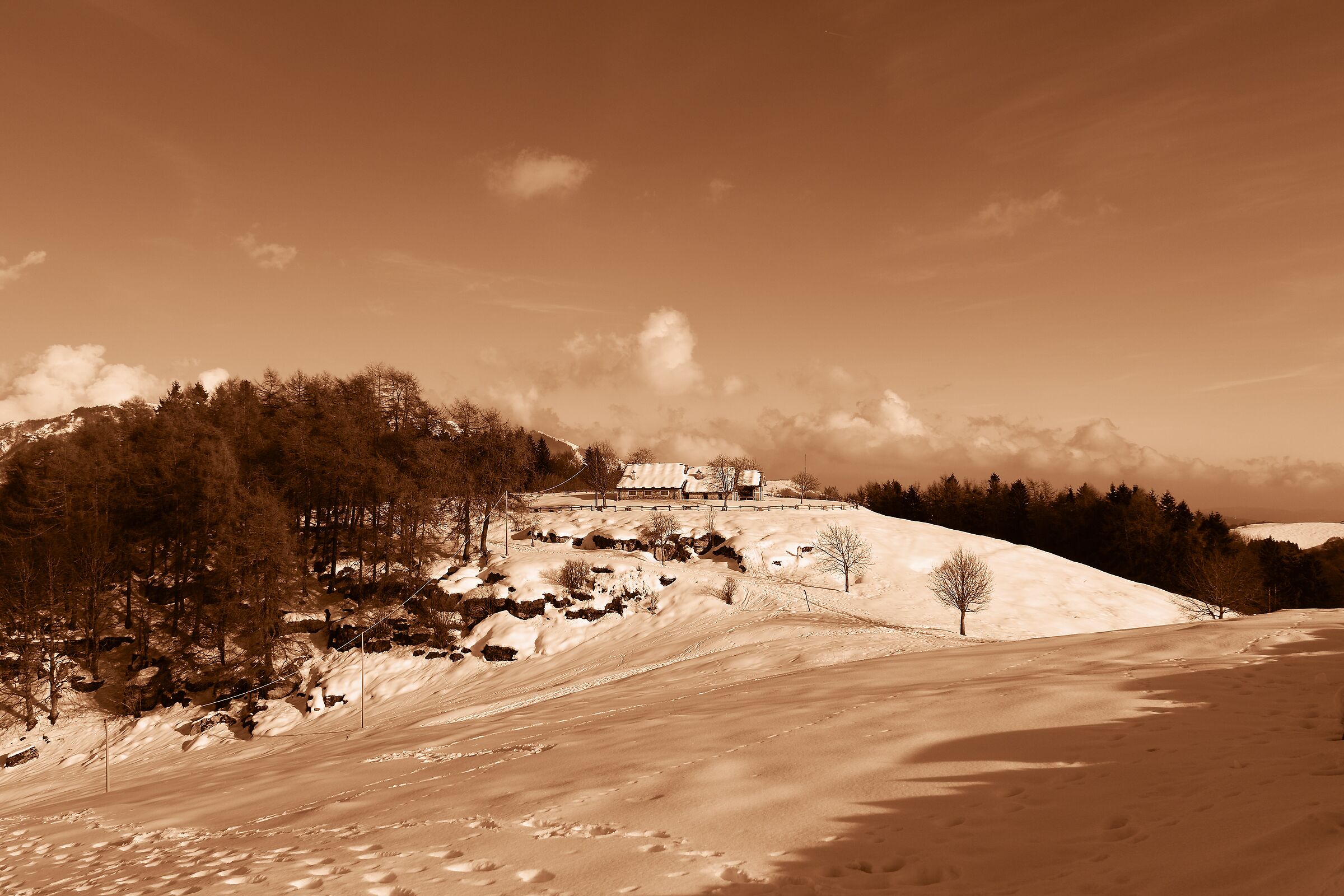 Malga la Casara