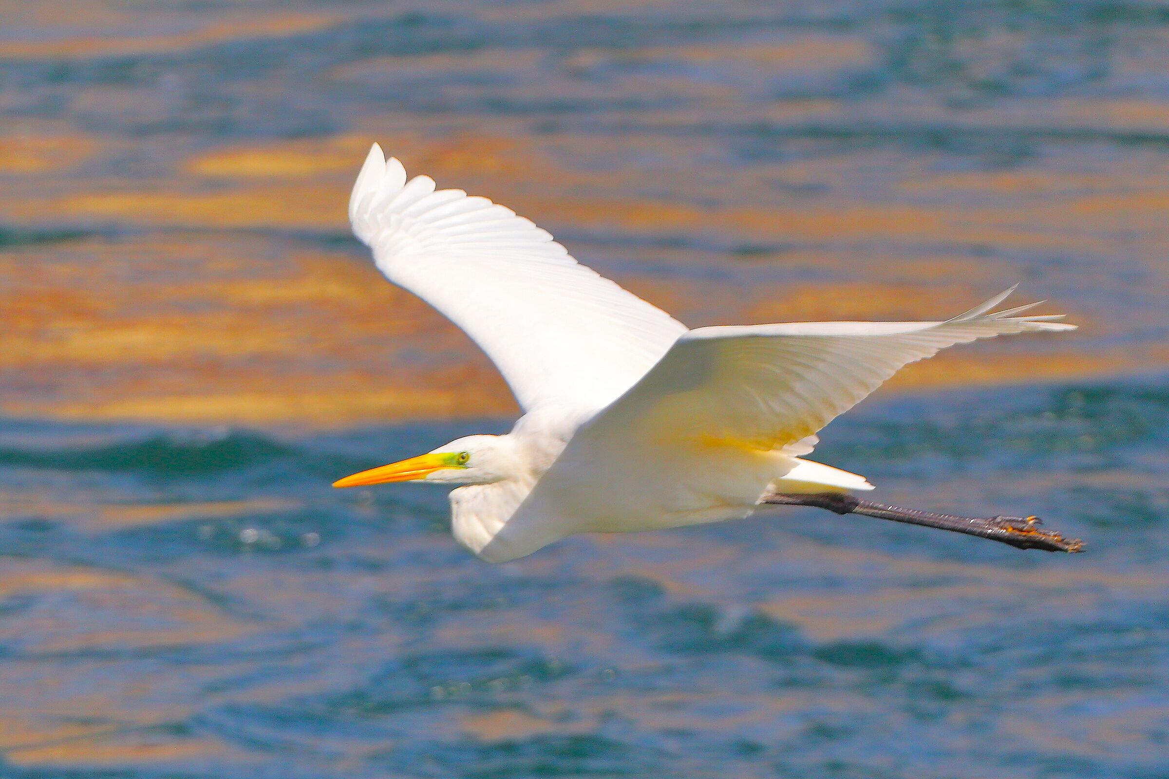 ABM 16 settembre 2025 - 0201