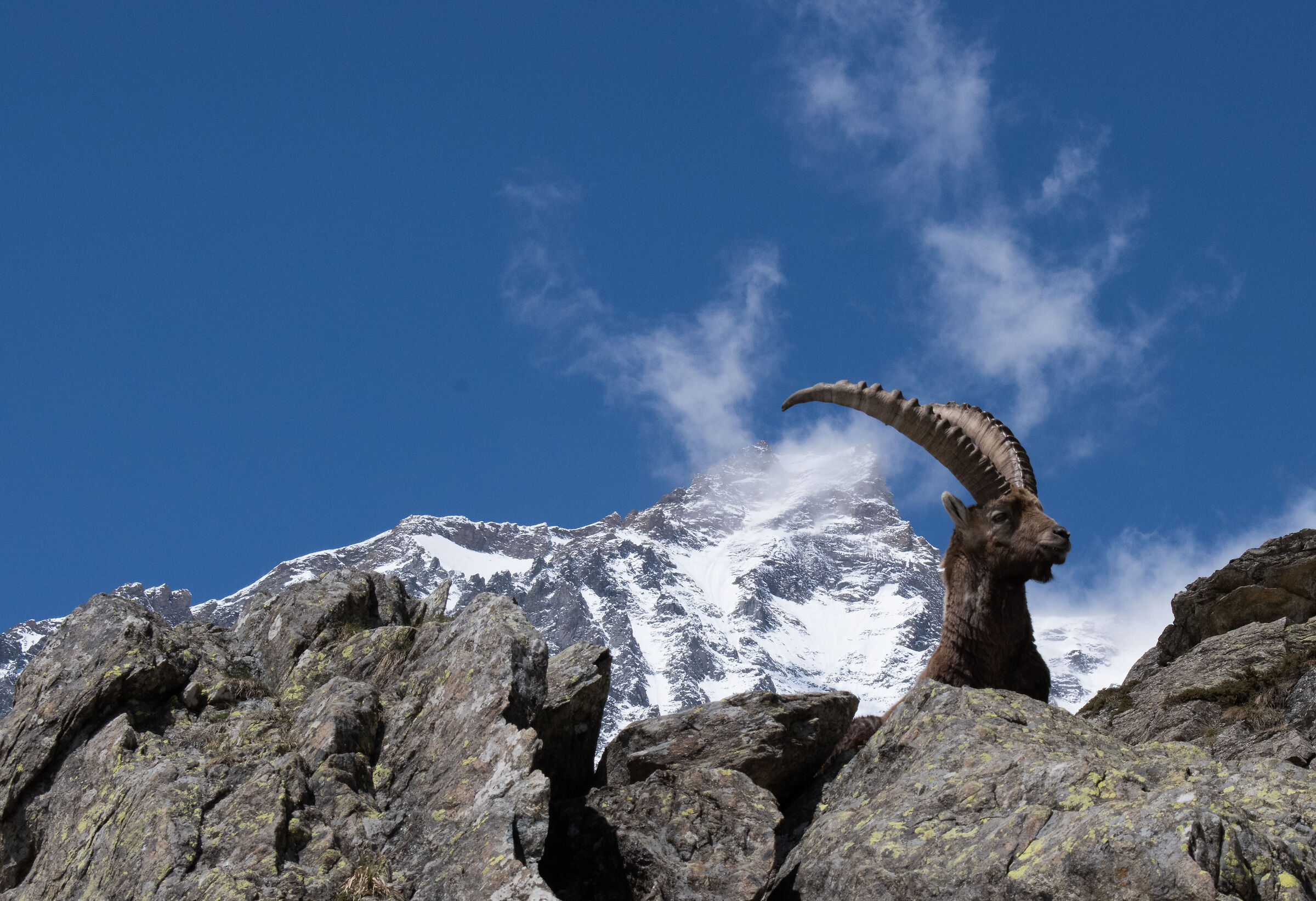 In posa con la montagna