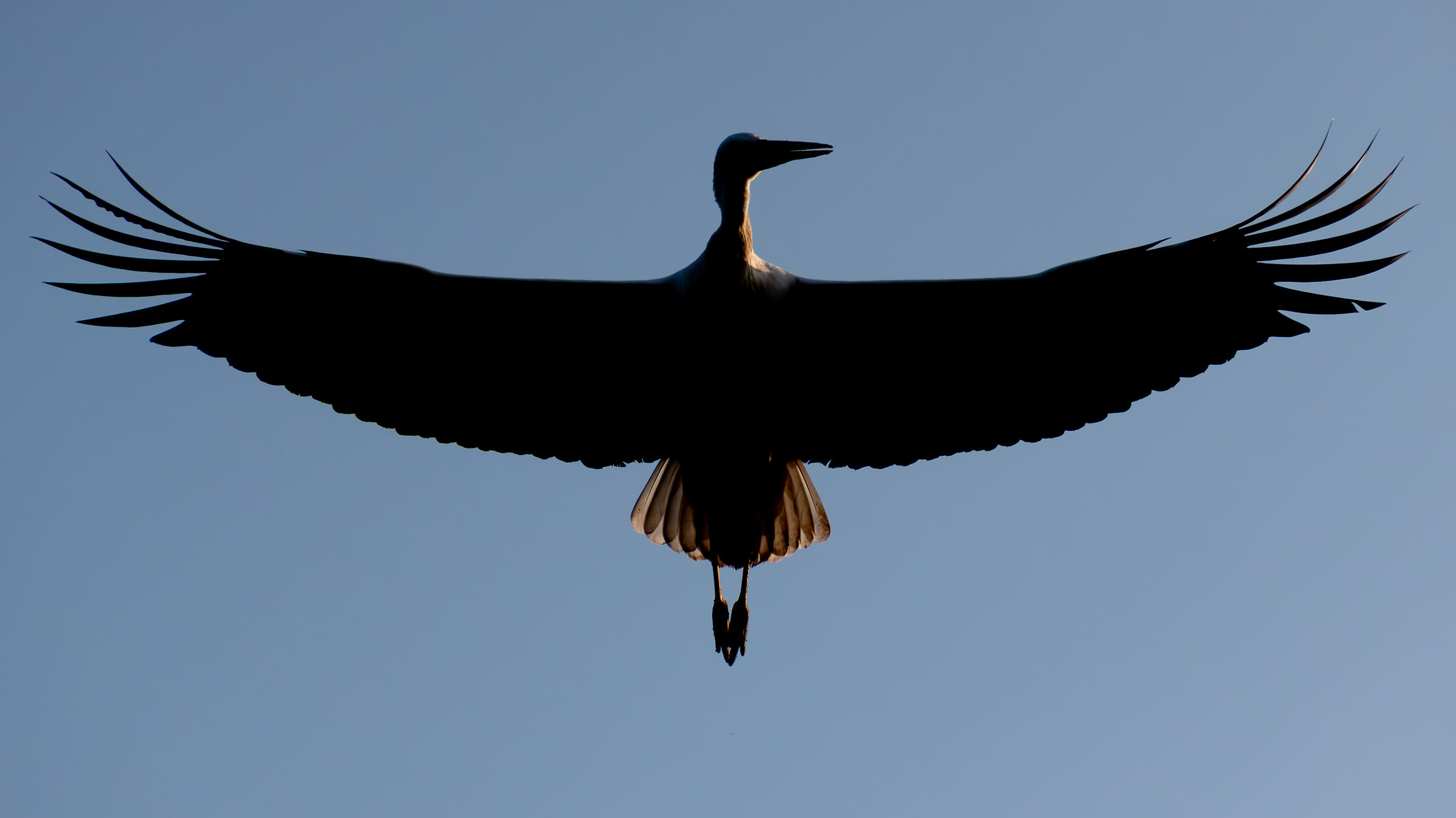 Volo di ricognizione
