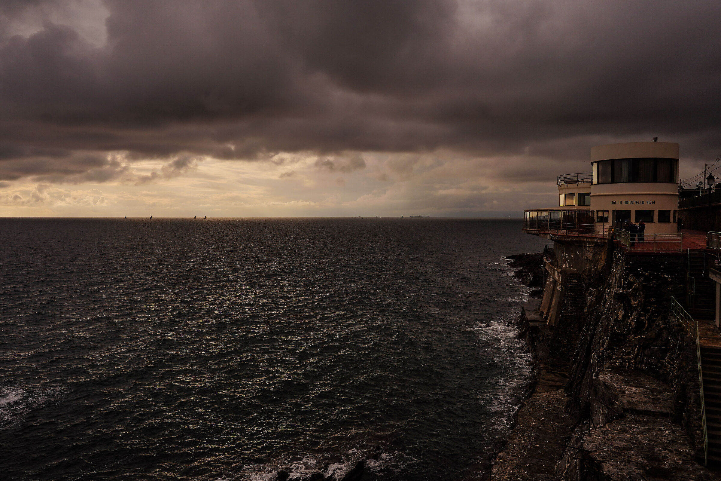 Nervi
