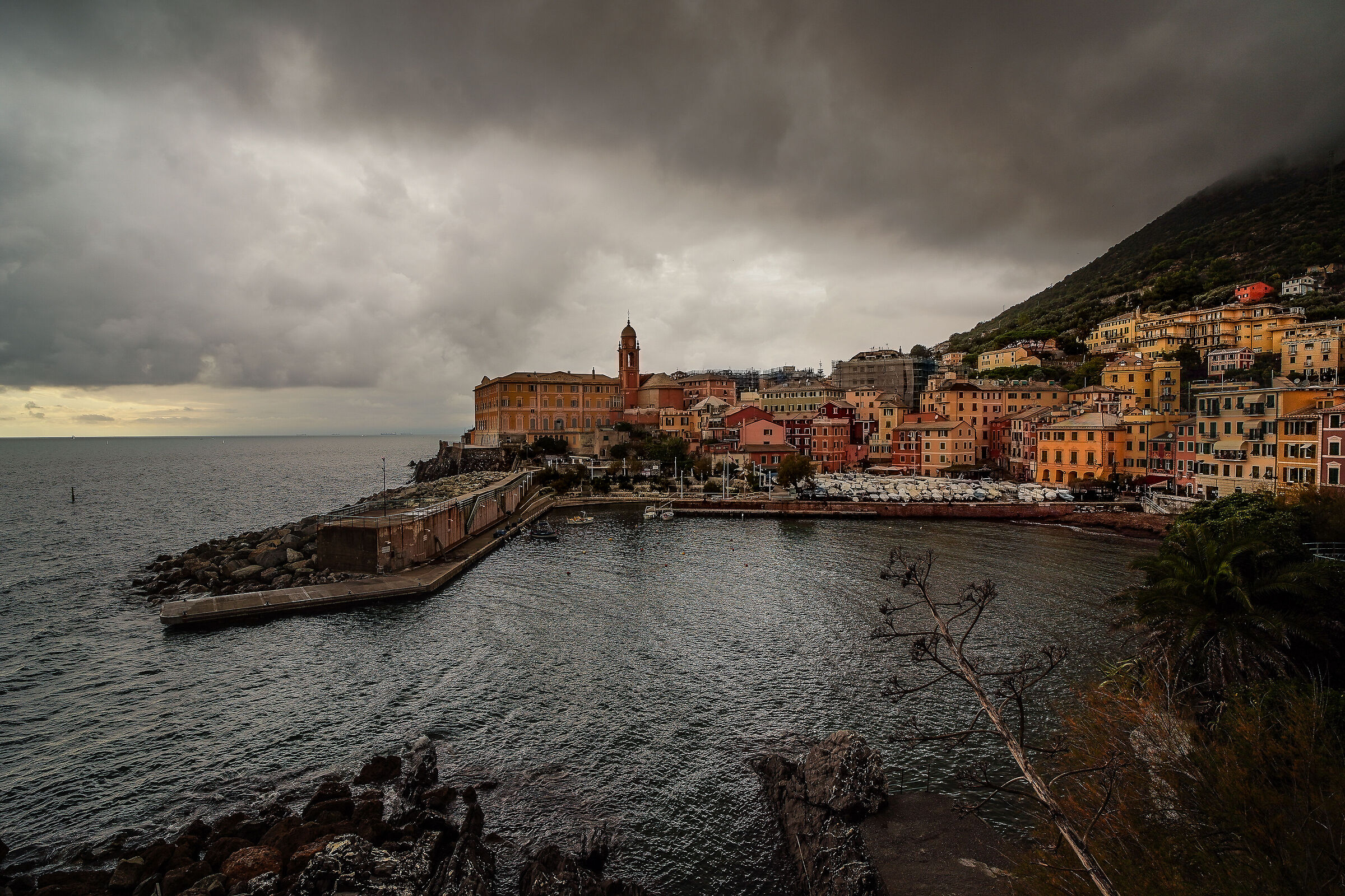 Nervi