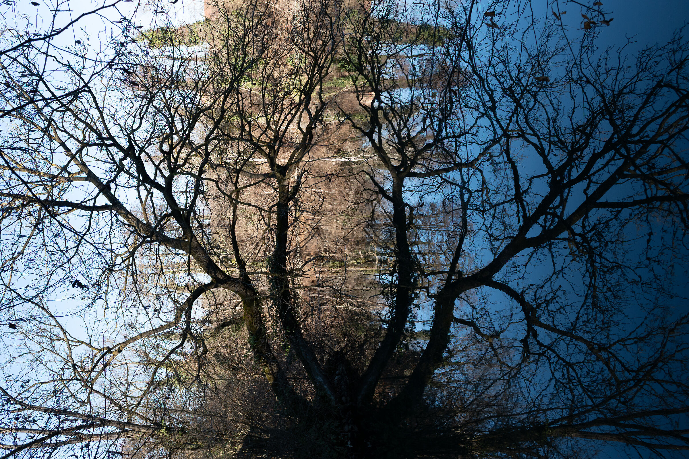 Specchio riflesso