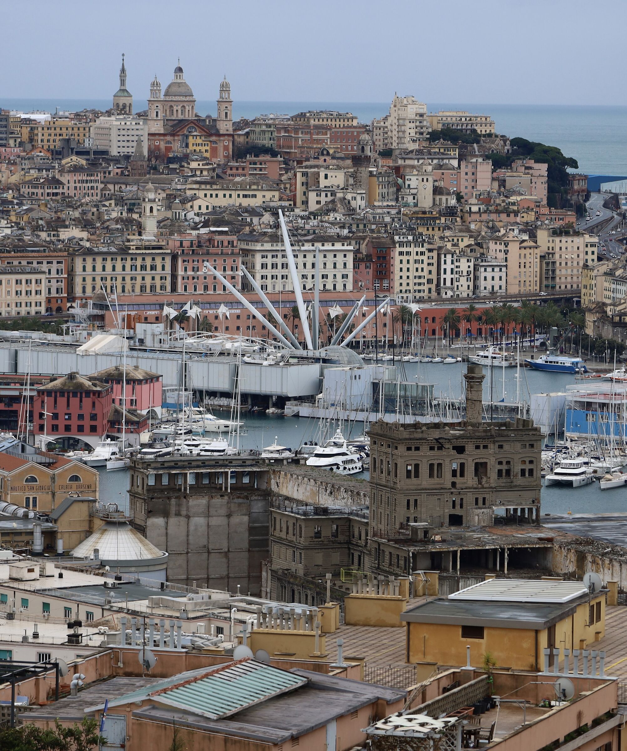 Genova