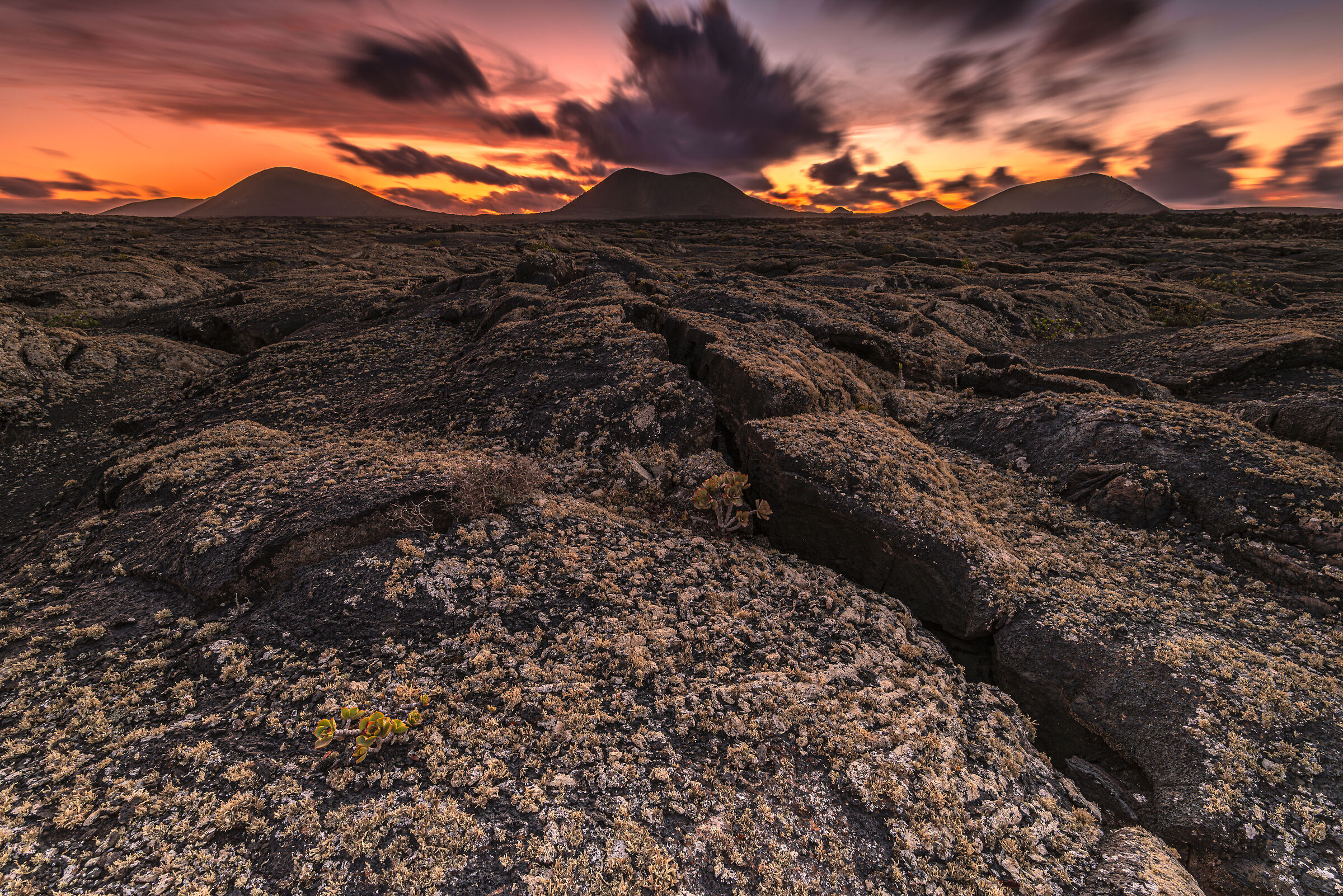 Lanzarote - El Cuervo