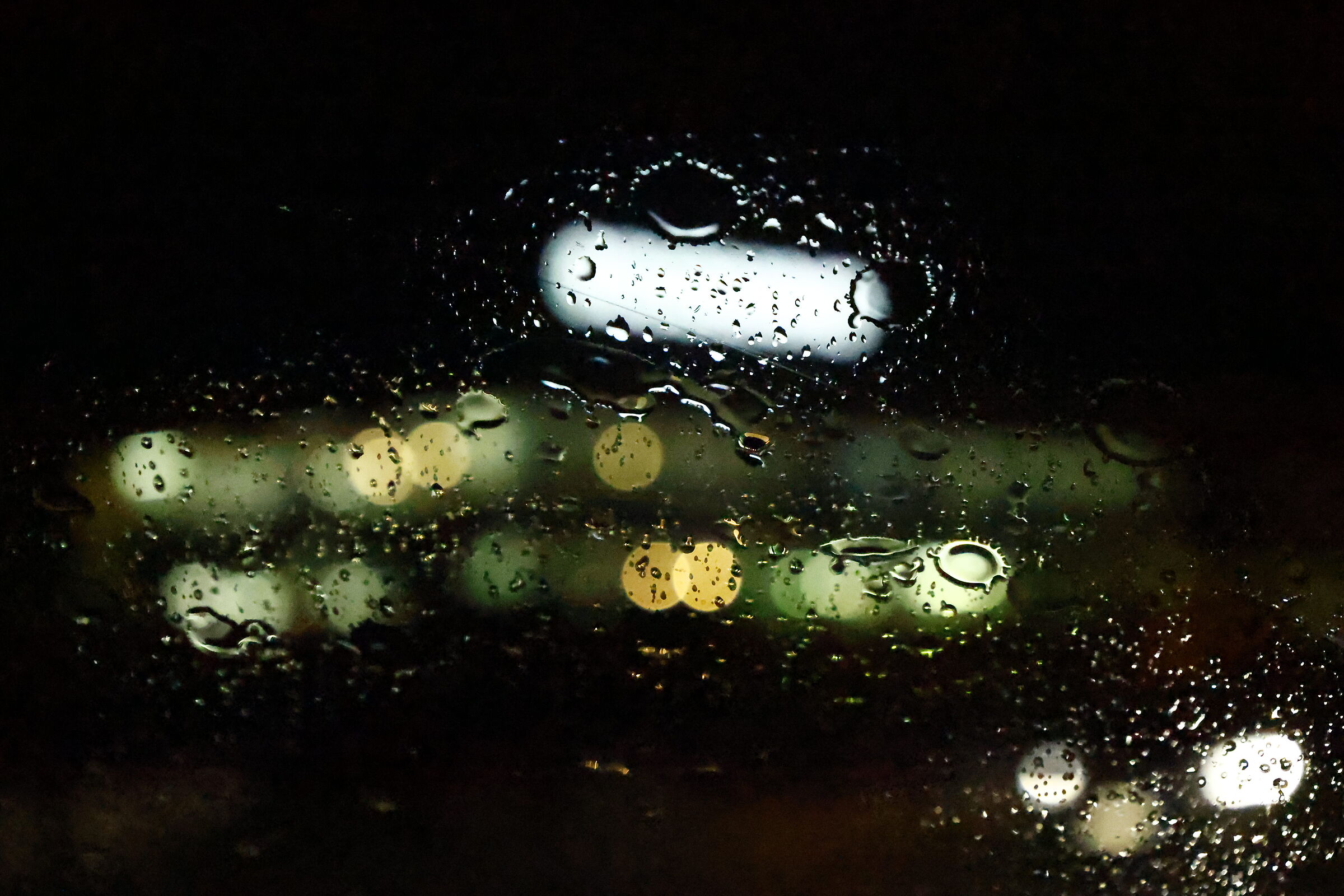 Untitled Photo